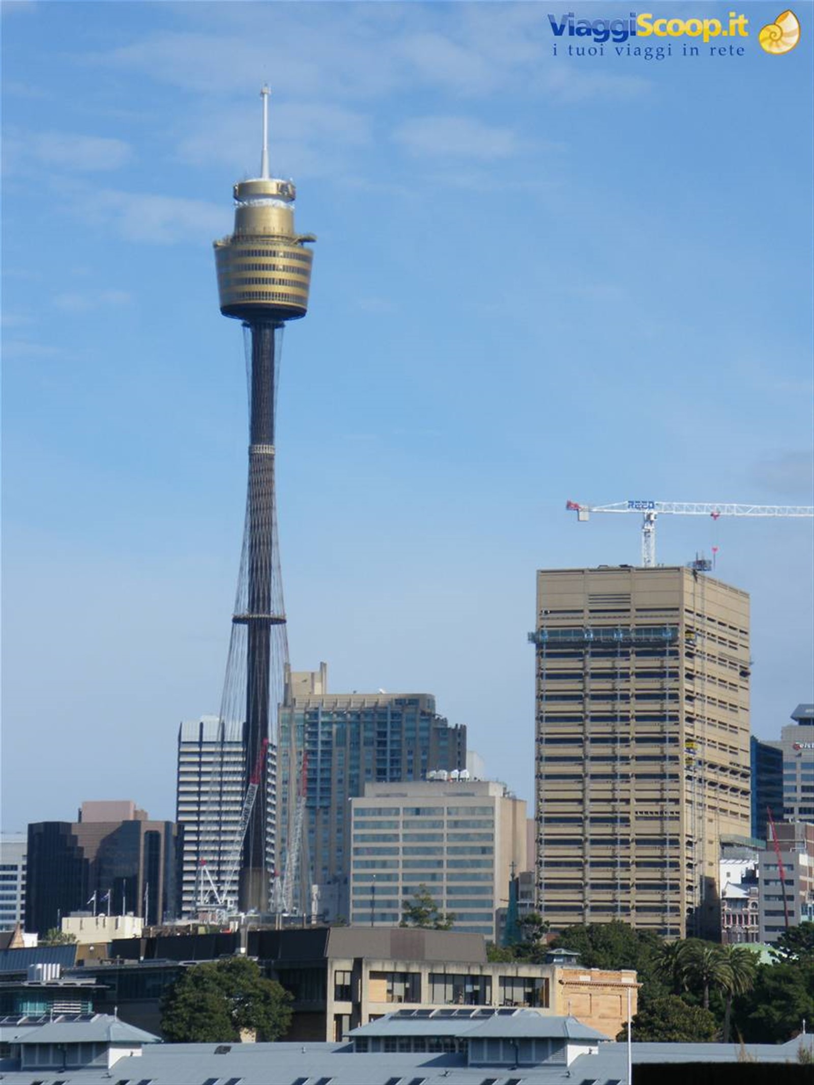 Sydney Tower