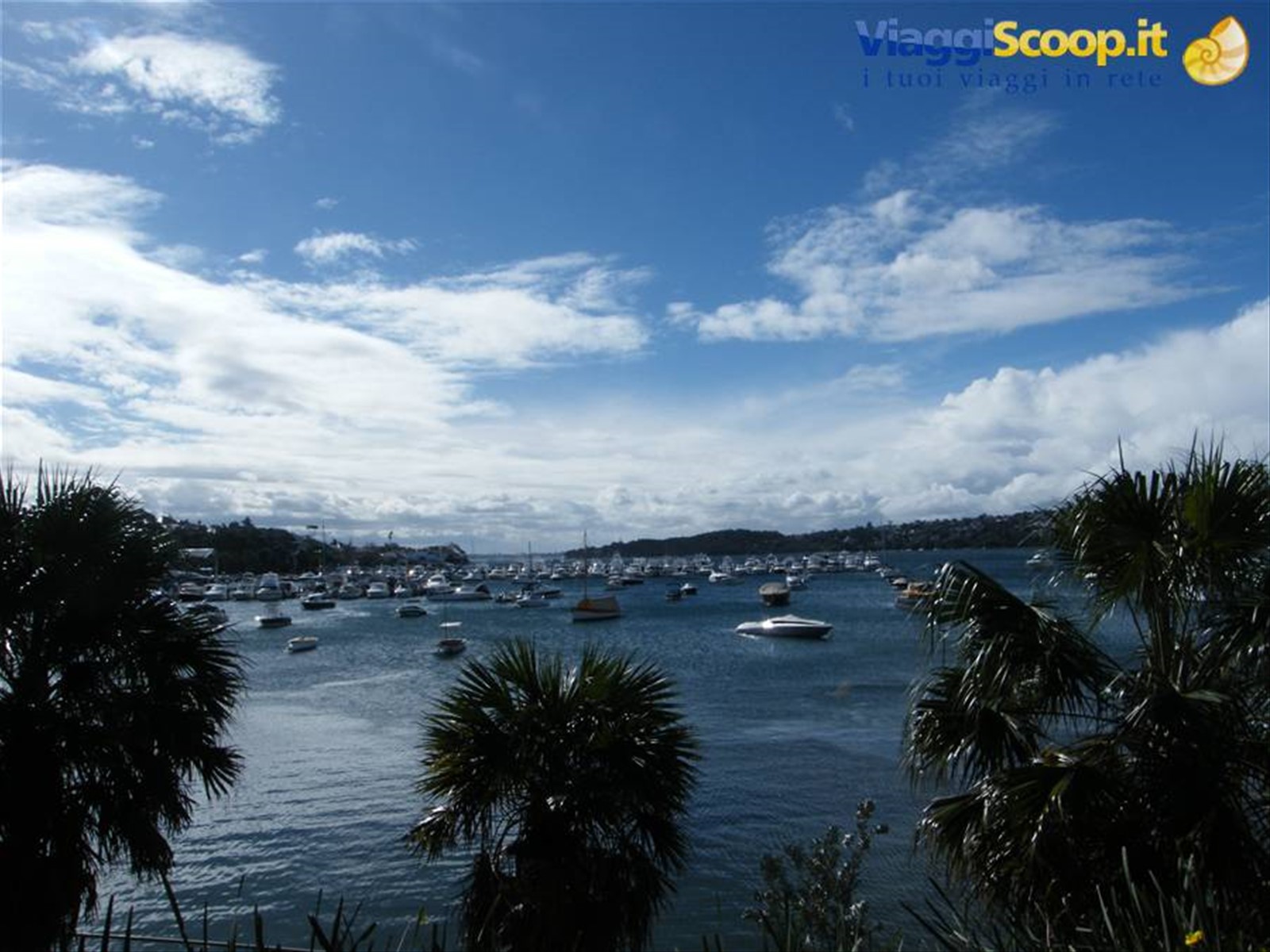 Rose Bay