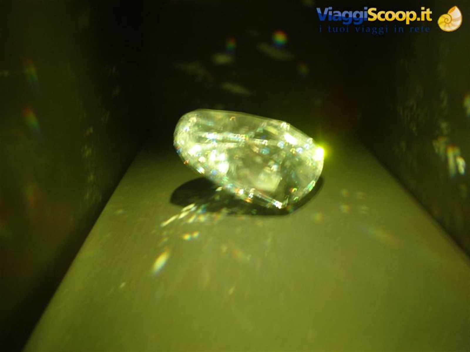 Diamante Natural History Museum