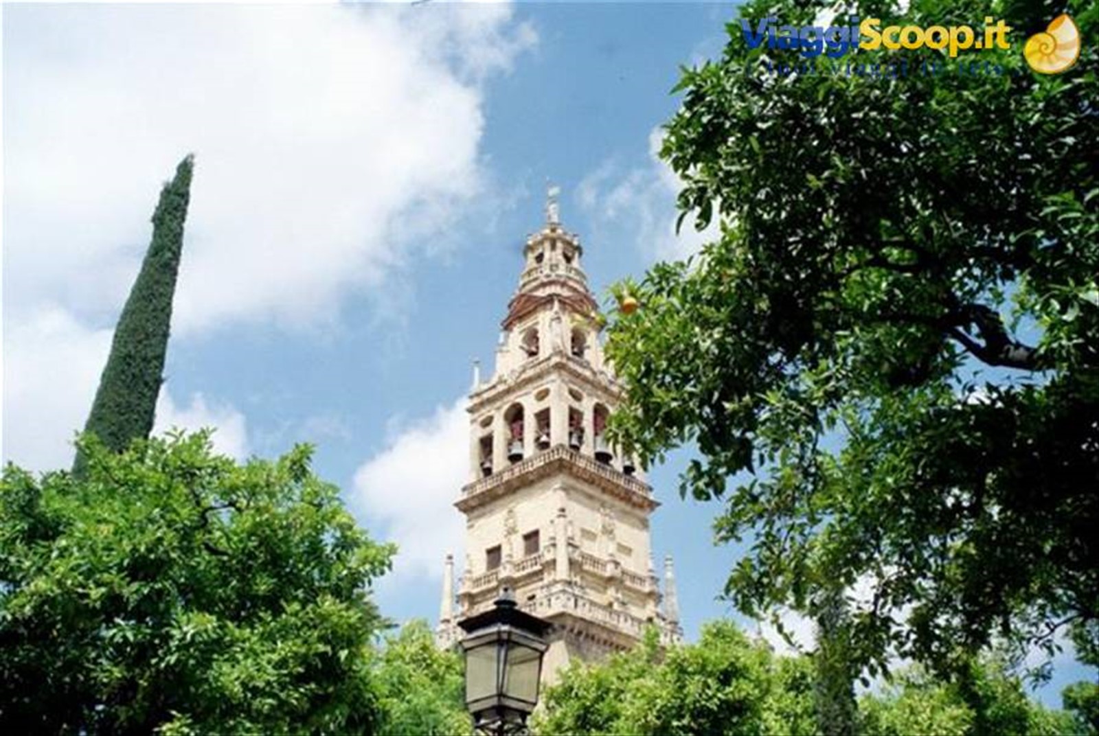 Torre