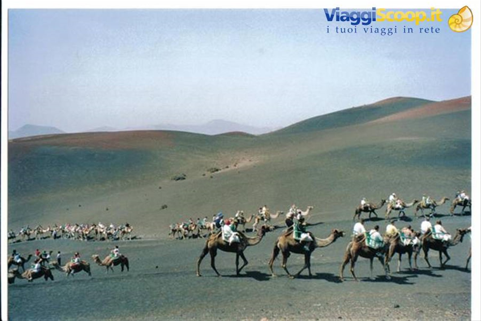 Cammelli sul Timanfaya