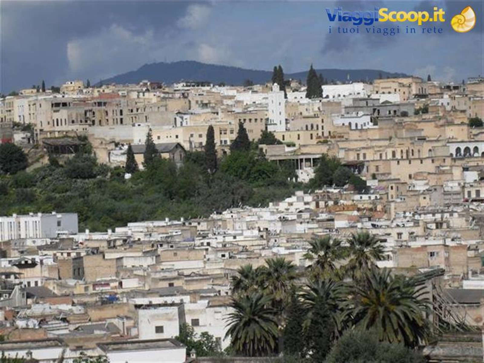 veduta di Fes