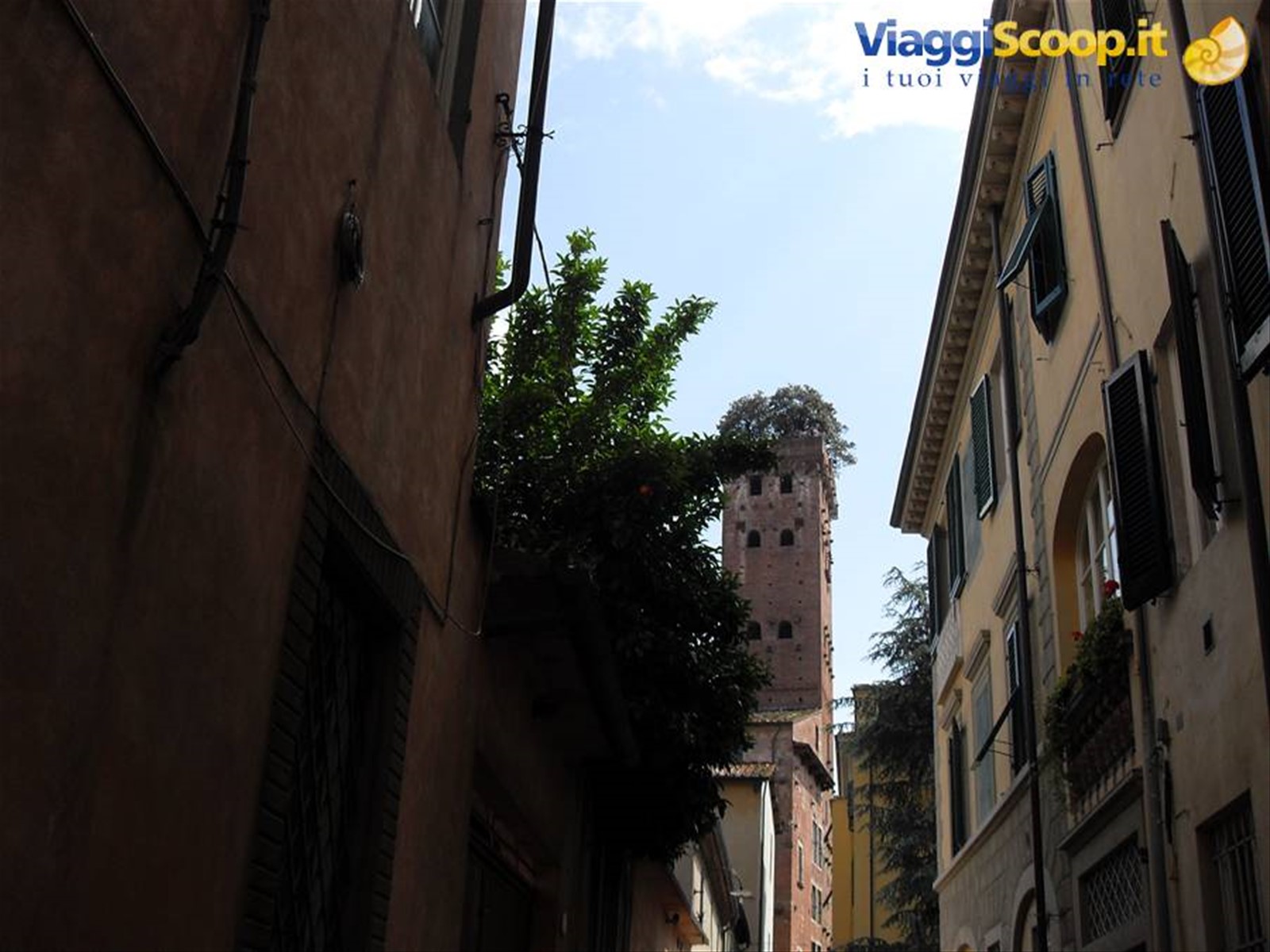 torre Guinigi