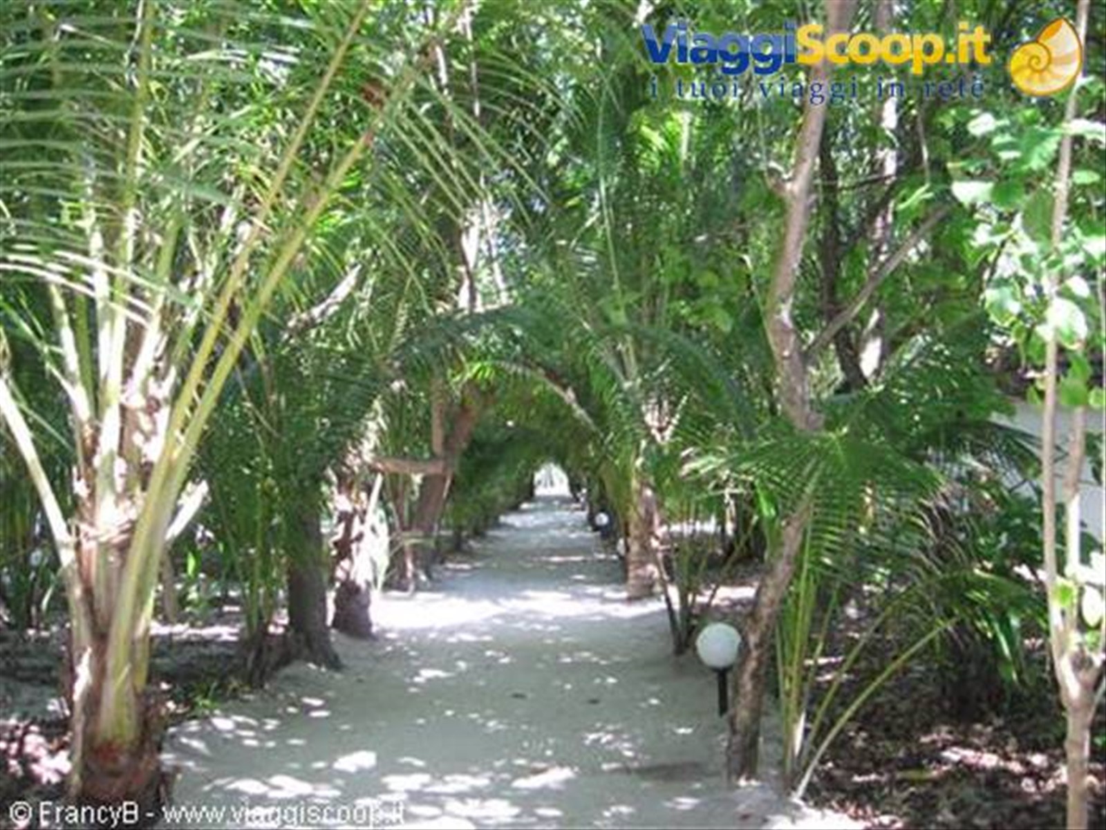 Foto di viaggio in MALDIVE