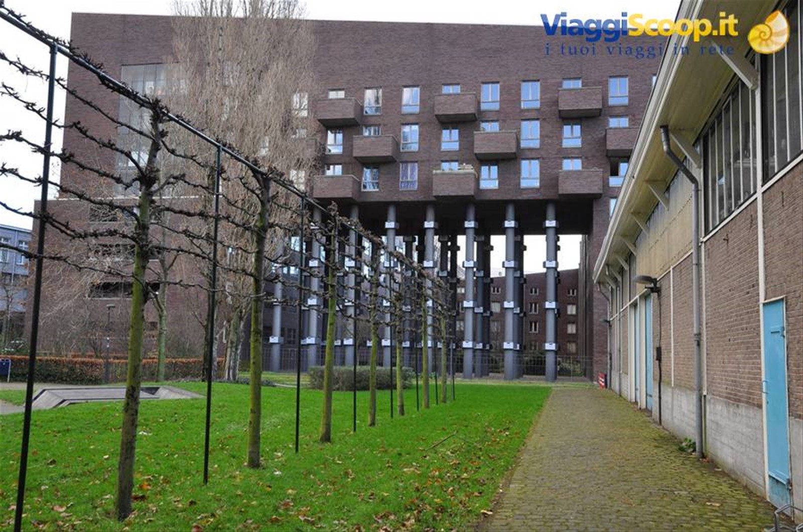Foto di viaggio in OLANDA