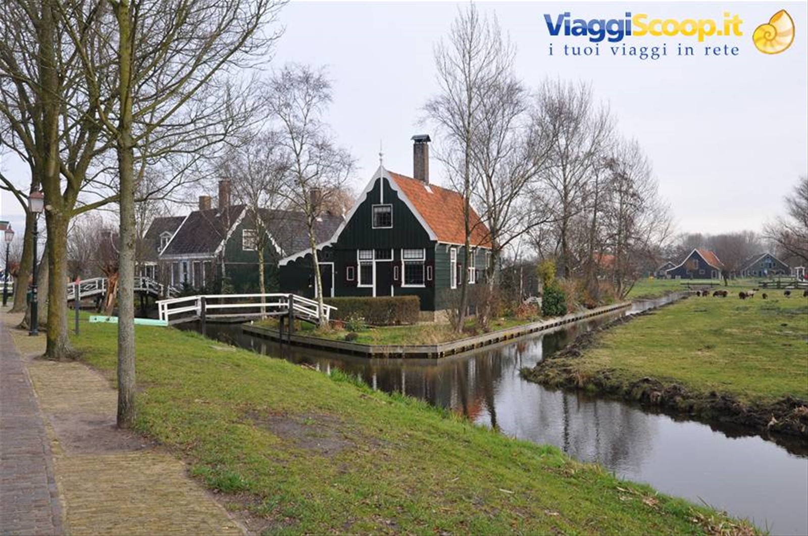 Foto di viaggio in OLANDA