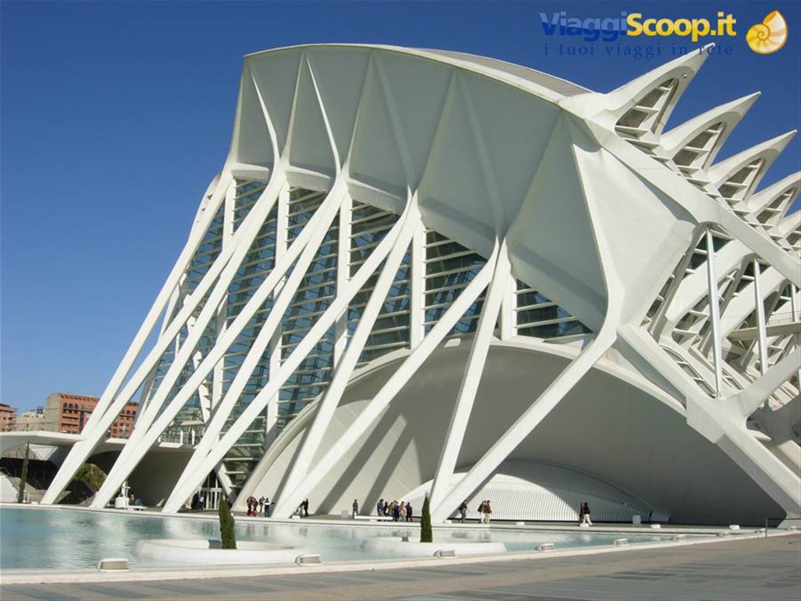 Foto di viaggio in SPAGNA