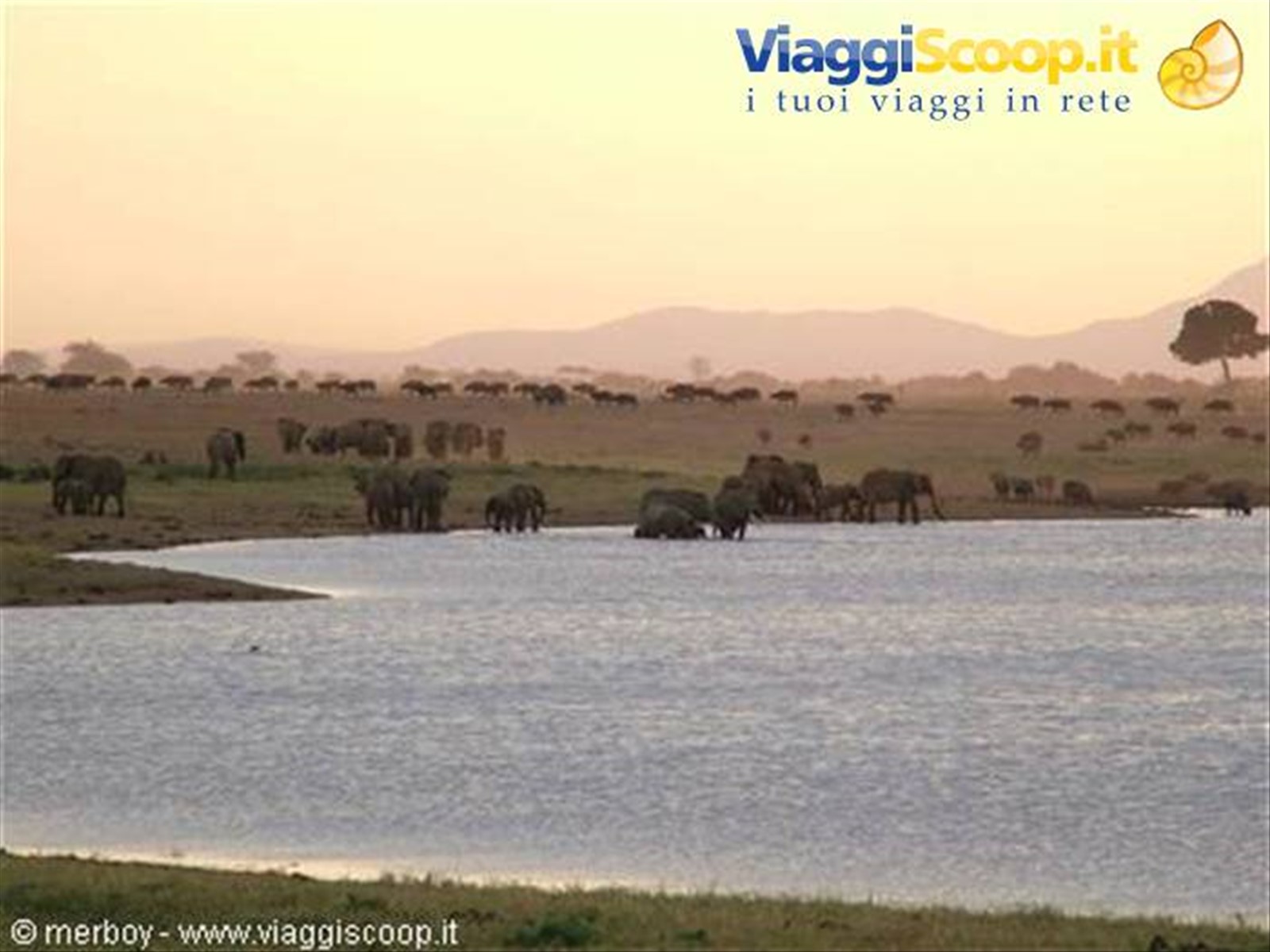 Safari - Tsavo Est