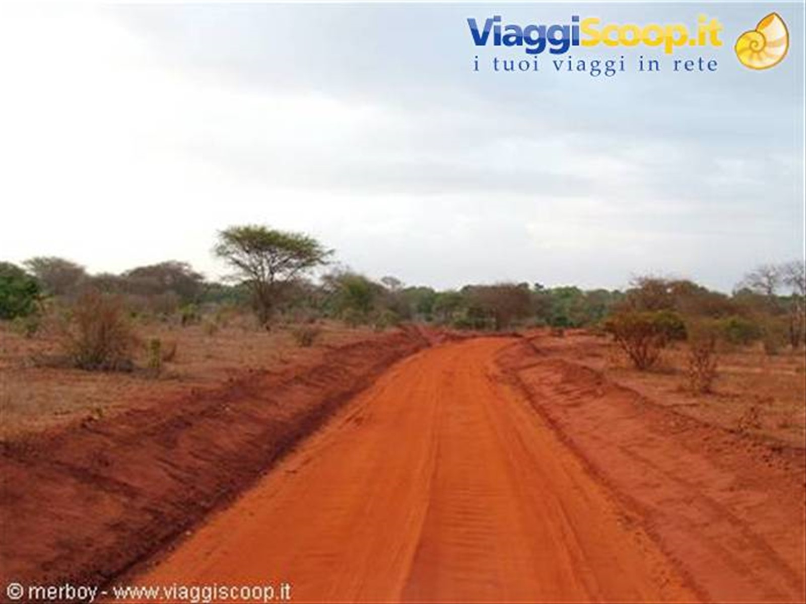 Safari - Tsavo Est