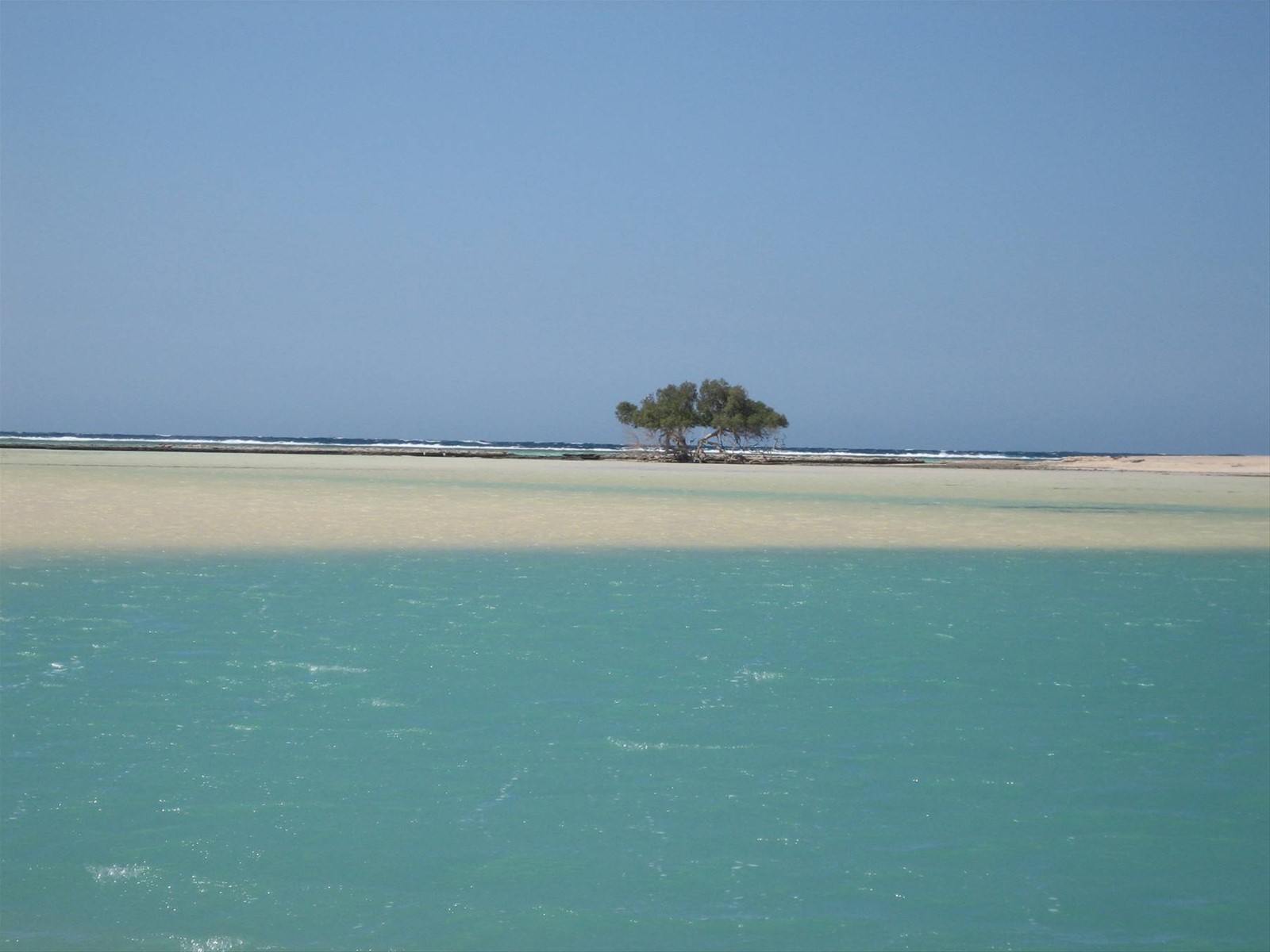 Baia delle tartarughe