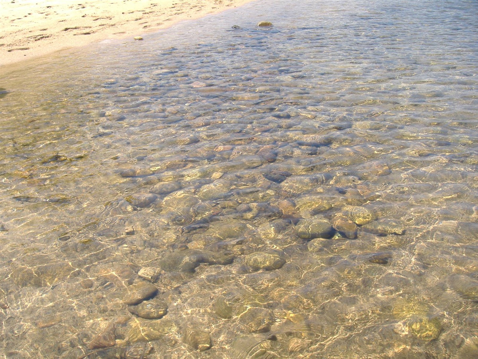 IL MARE DELLA PALOMBAGGIA
