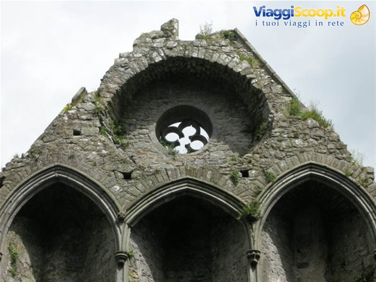 St. Patrick's Rock of Cashel