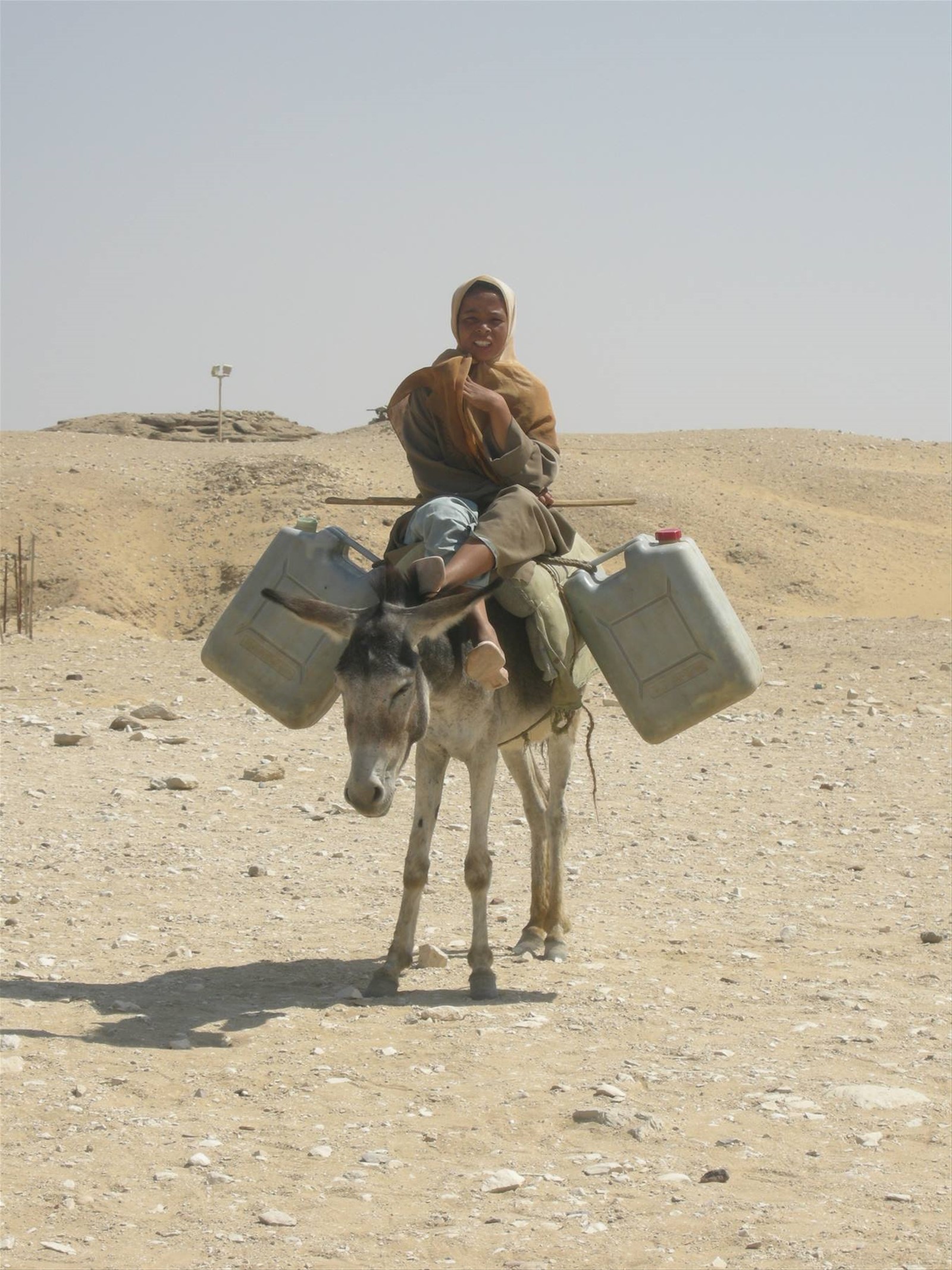 Sakkara