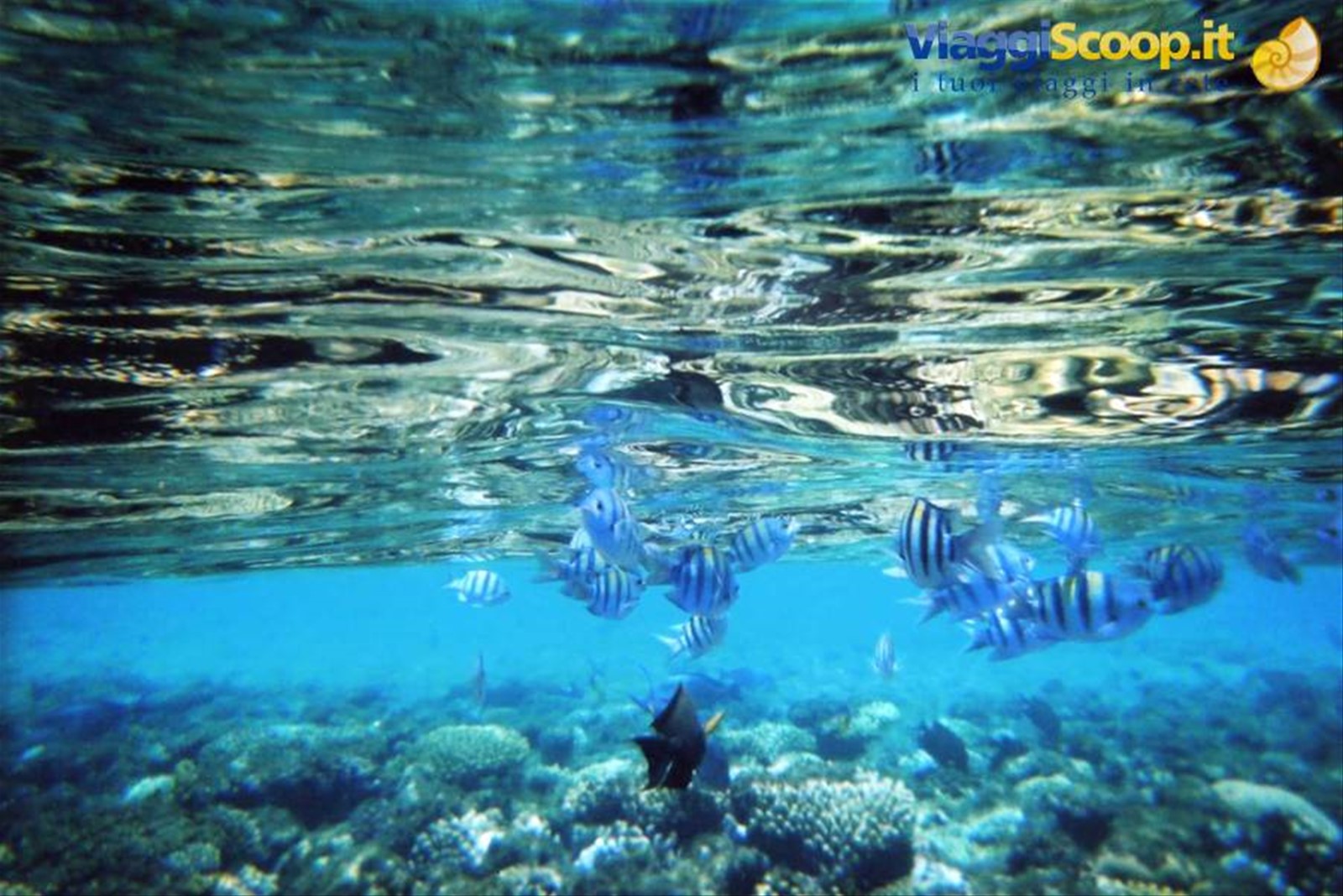 Un po' di snorkeling...