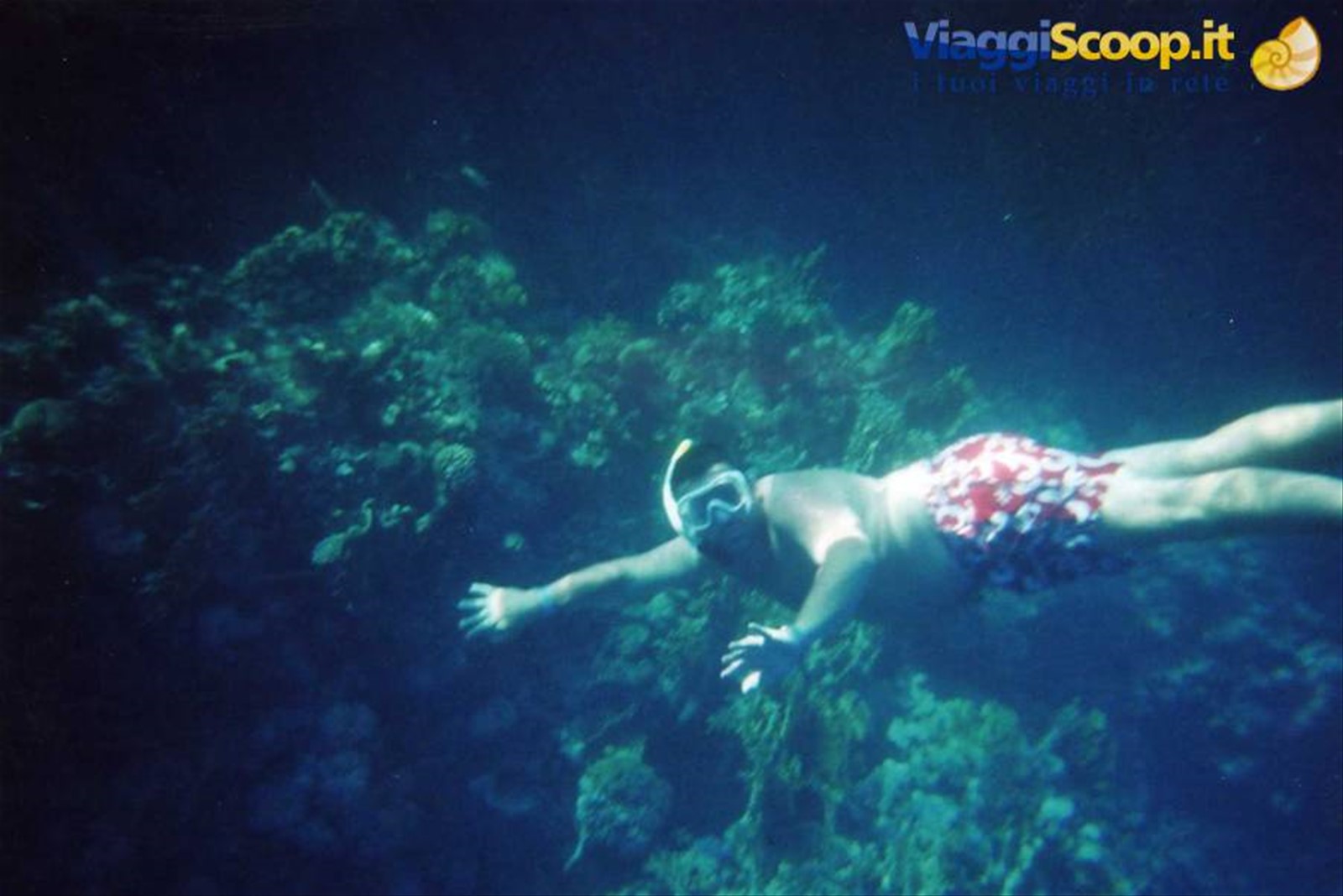 Un po' di snorkeling...