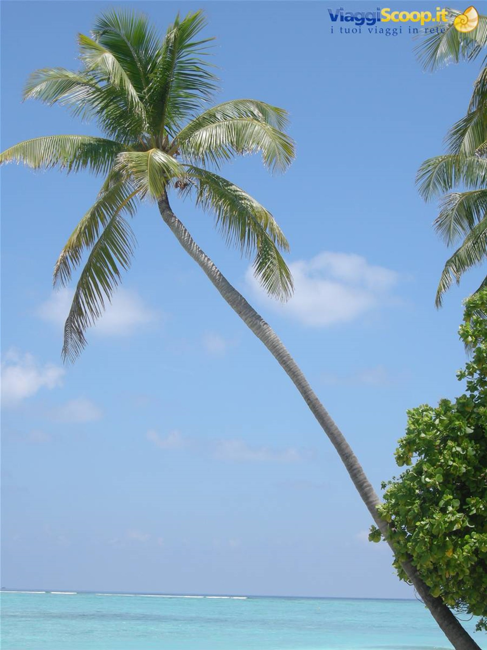 Foto di viaggio in MALDIVE