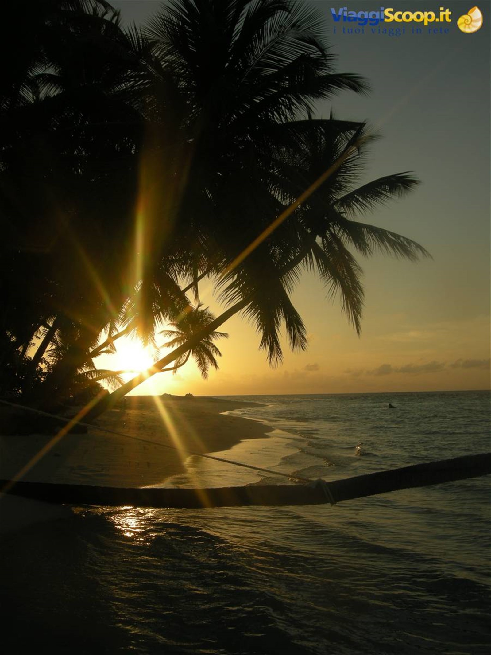 Foto di viaggio in MALDIVE