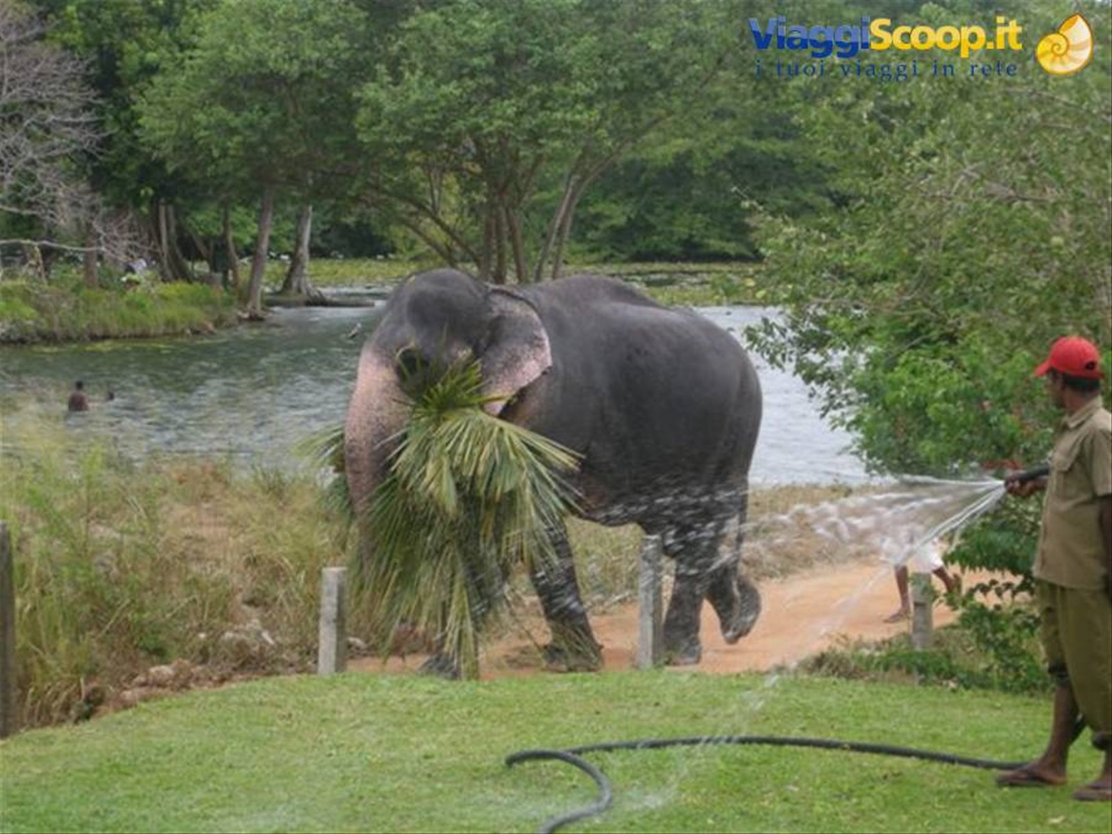 Foto di viaggio in SRI LANKA