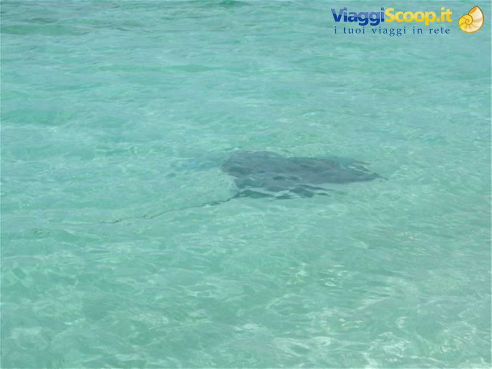 Foto di viaggio in MALDIVE