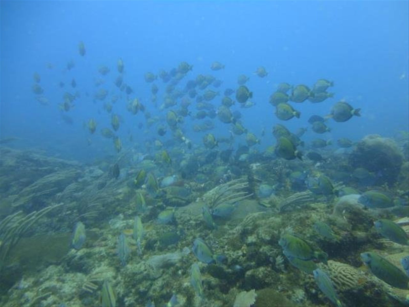Foto di viaggio in PANAMA