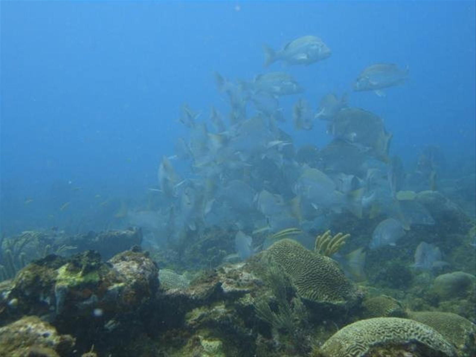 Foto di viaggio in PANAMA