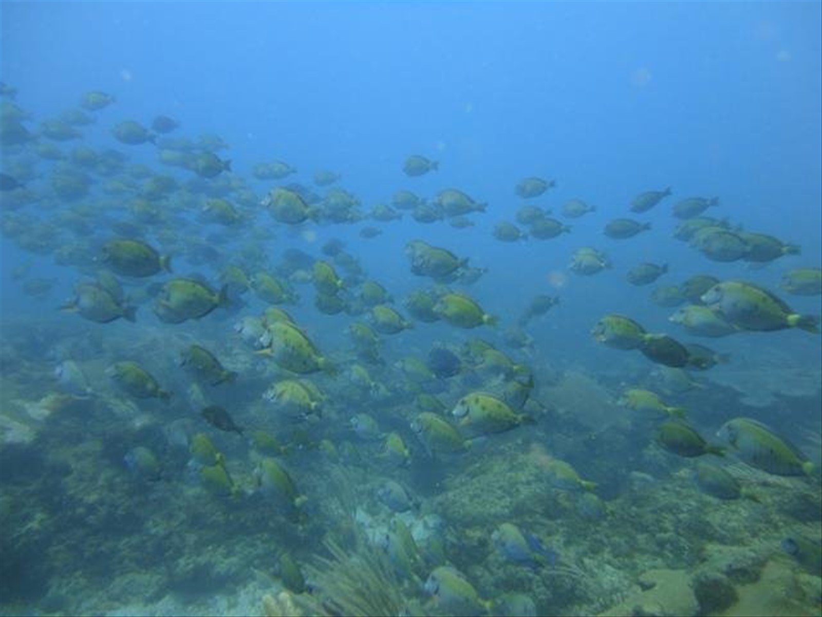 Foto di viaggio in PANAMA