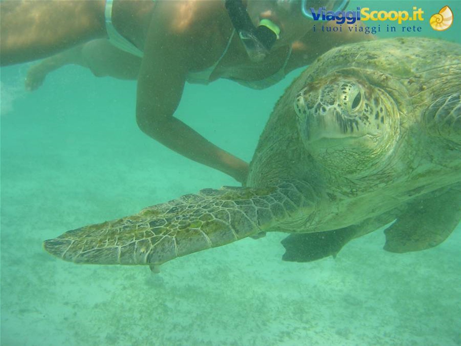 Derawan
