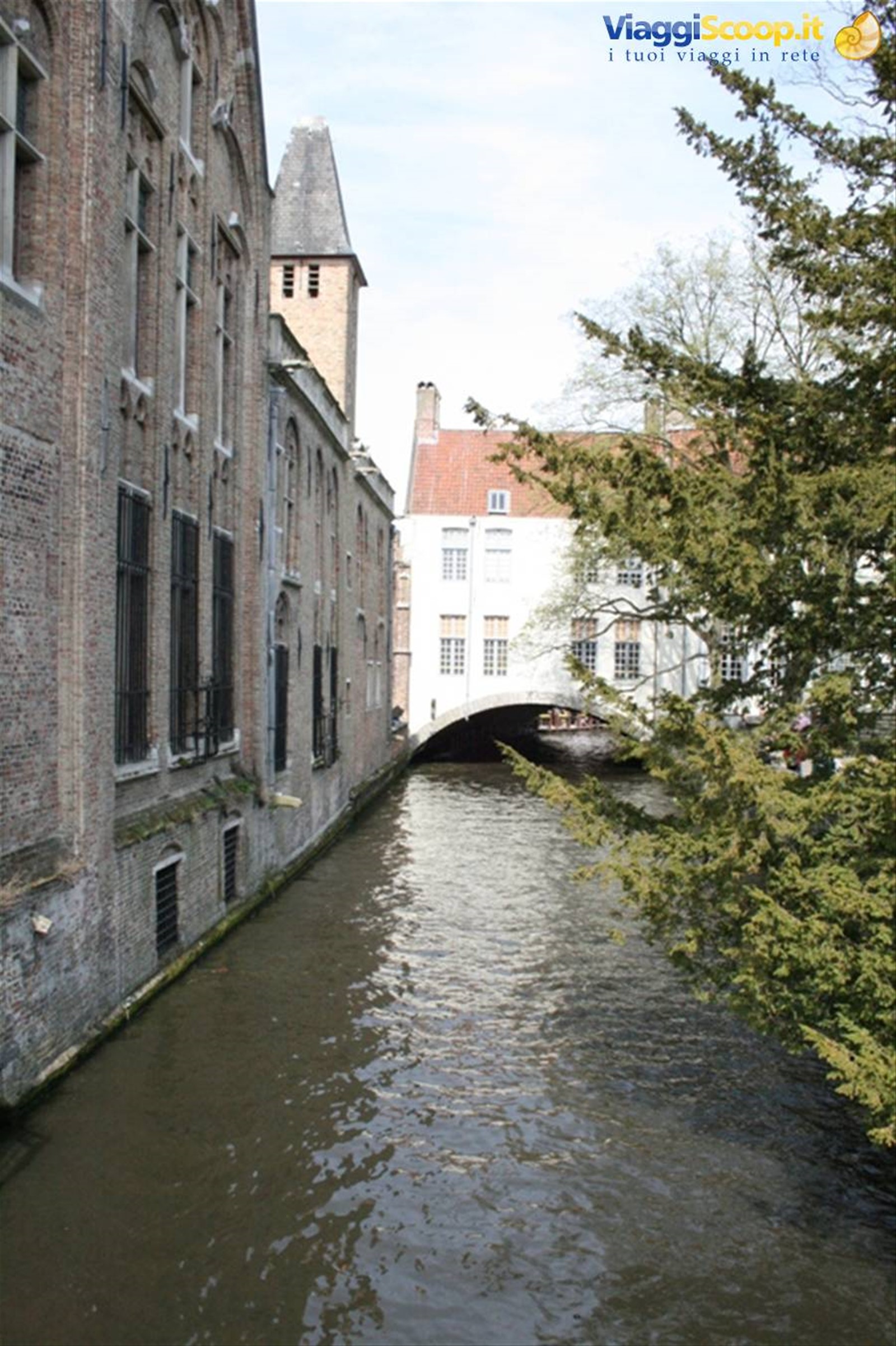 Foto di viaggio in BELGIO