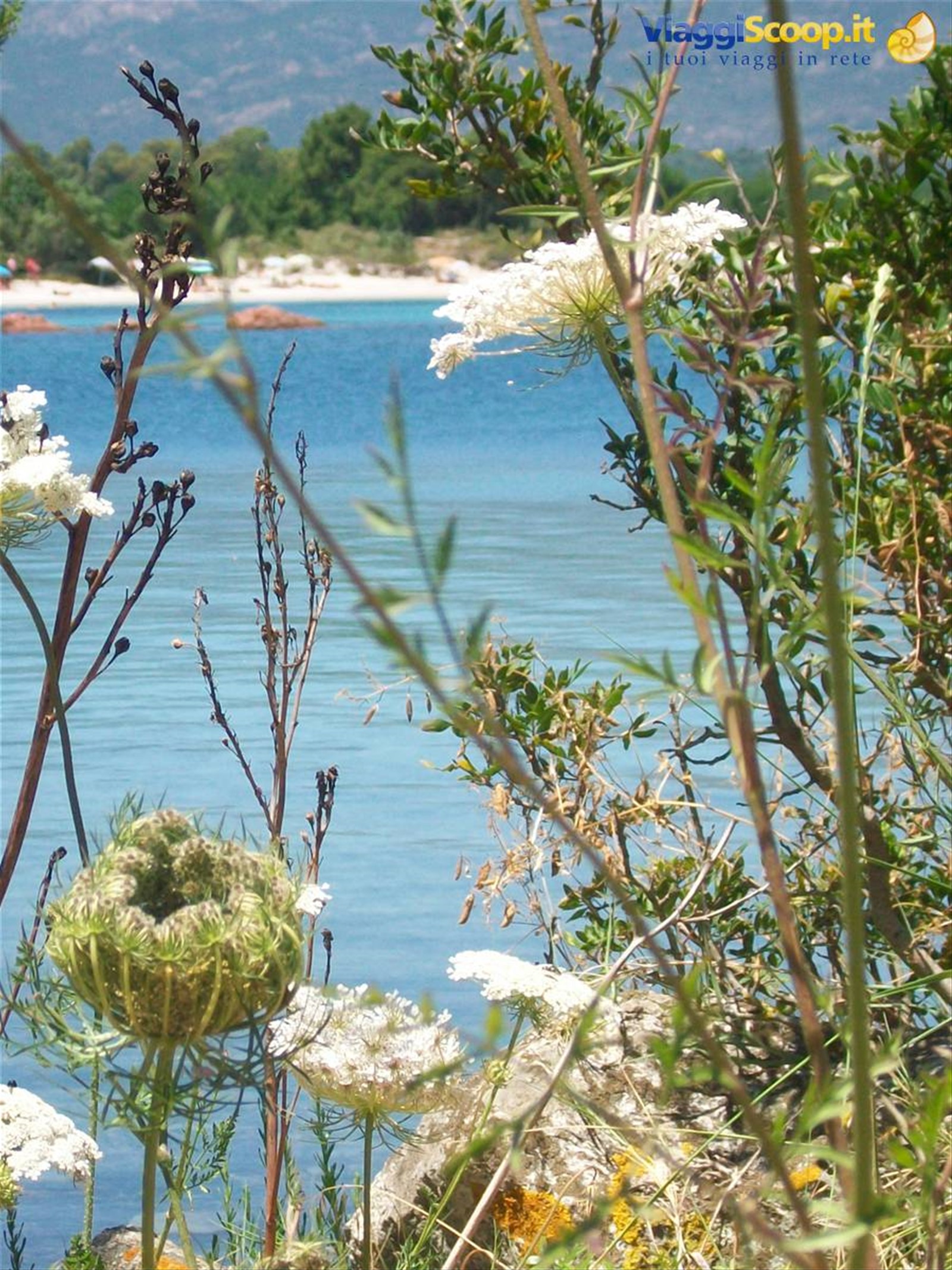 San Cipriano