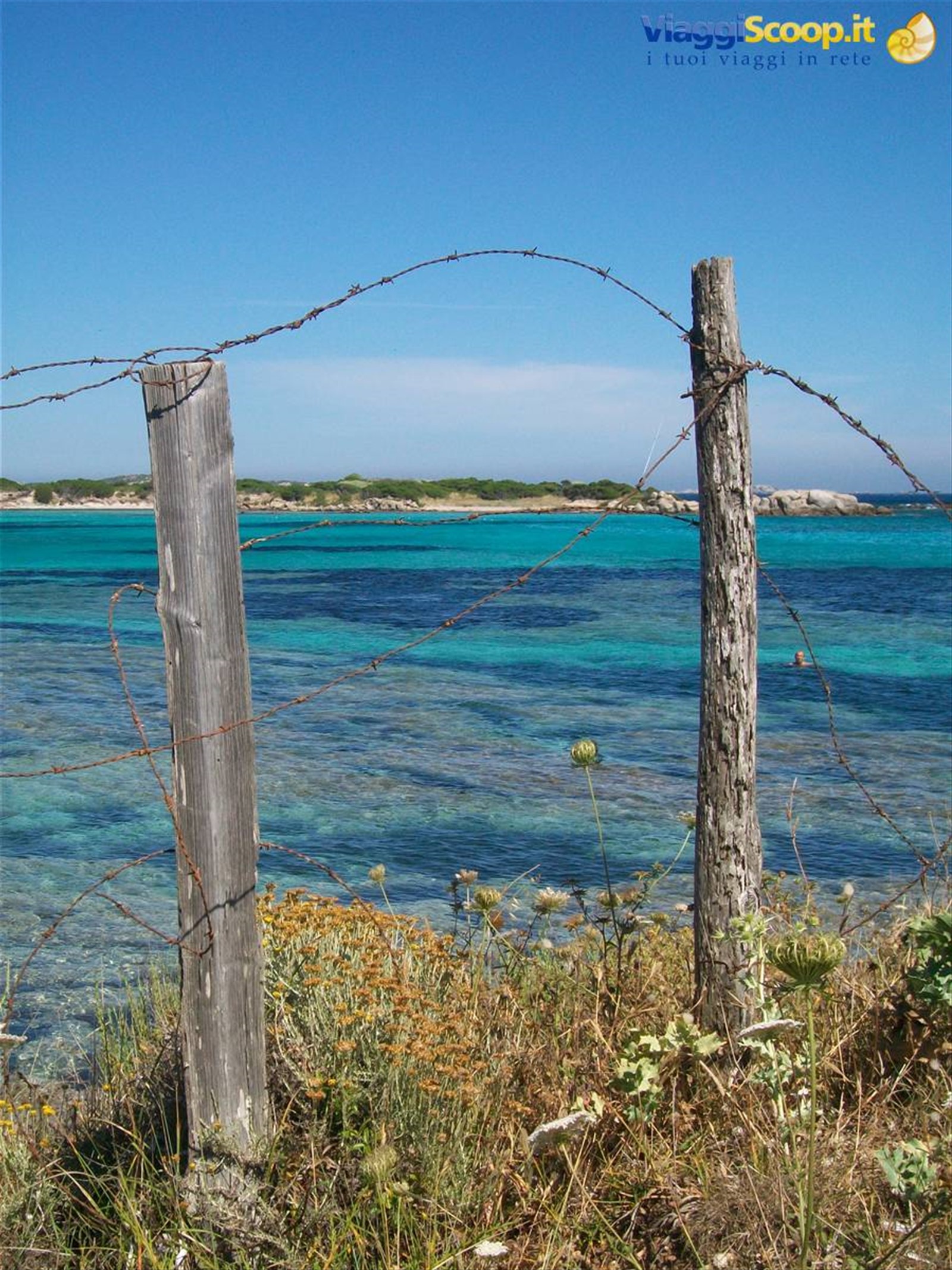 guardando verso l'isola di Piantarella