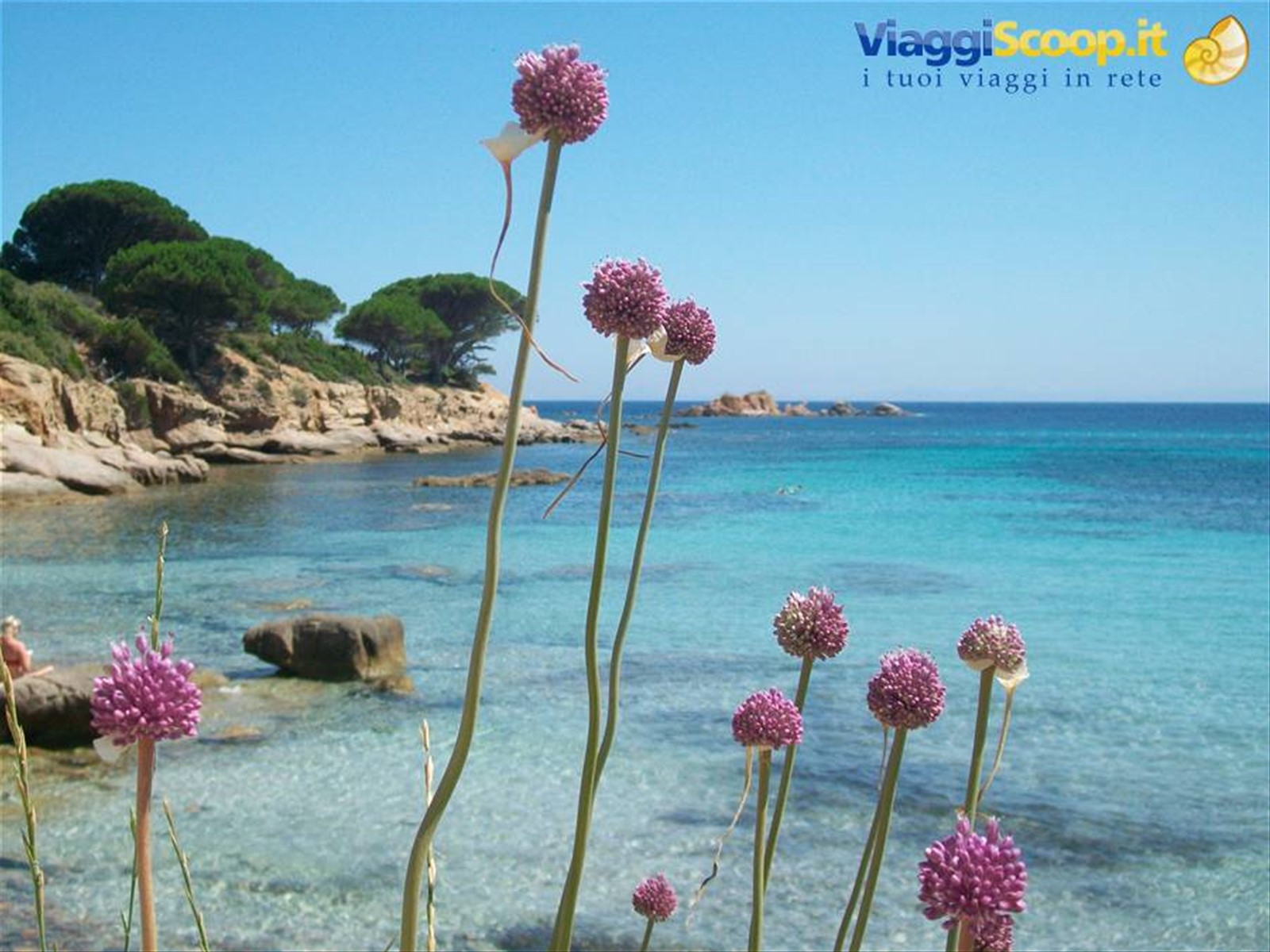 palombaggia sud