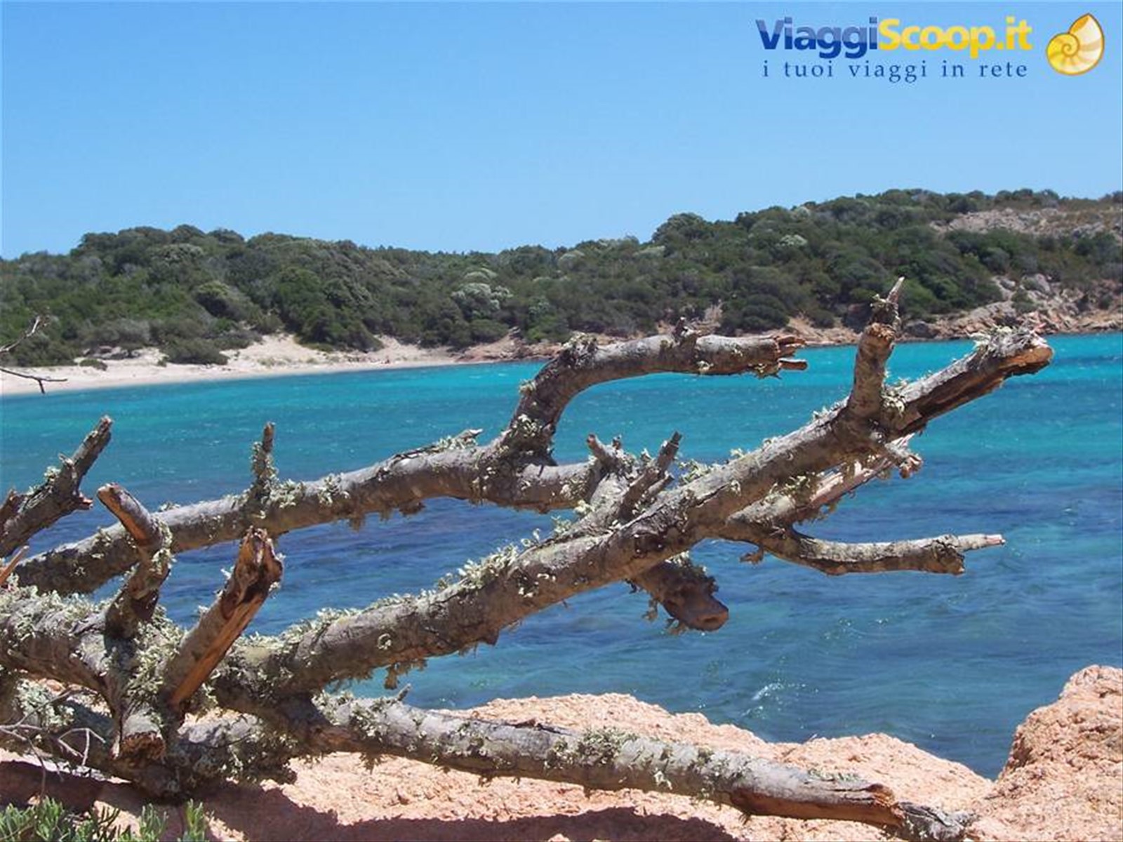 Foto di viaggio in FRANCIA