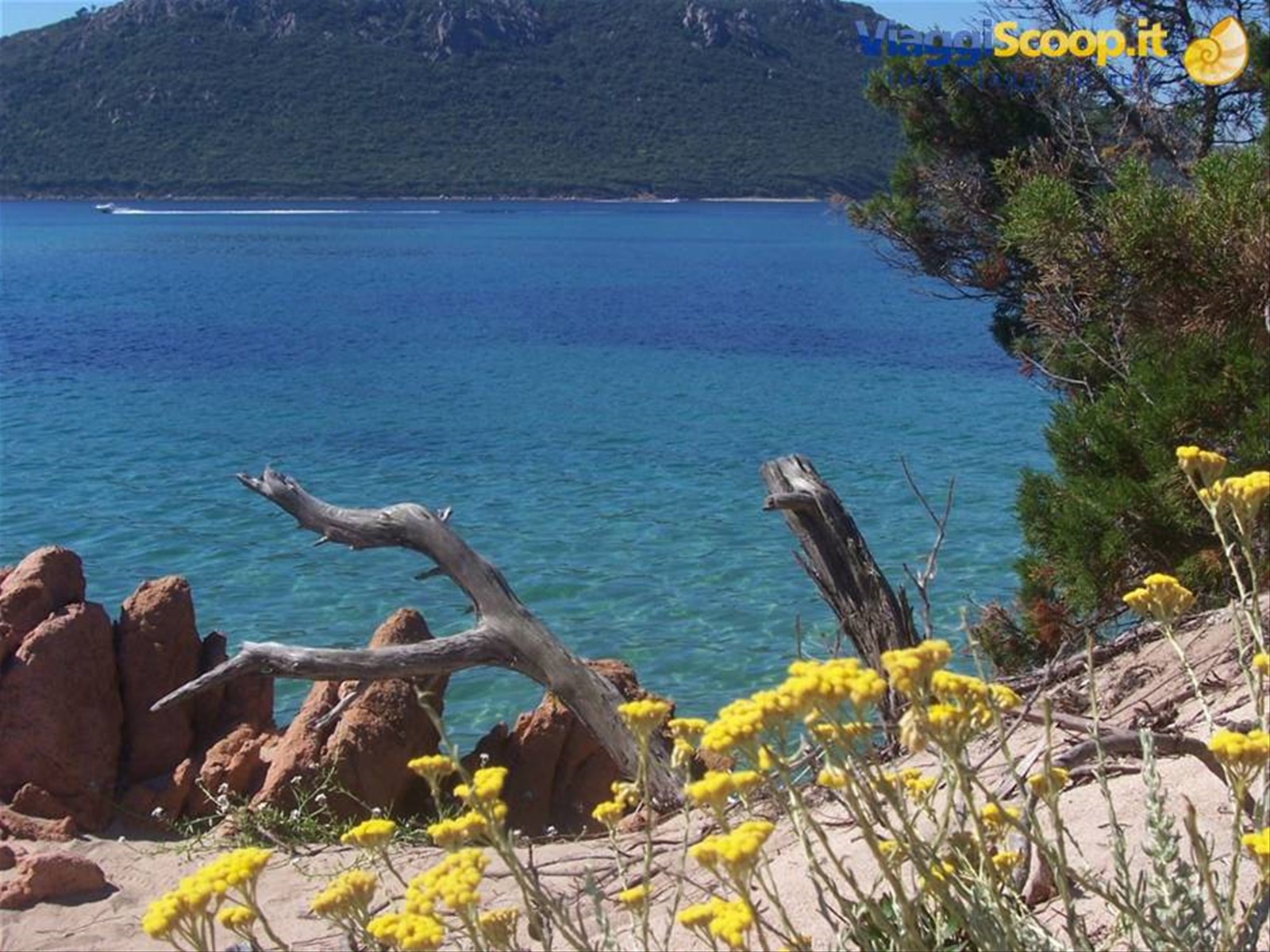 Foto di viaggio in FRANCIA