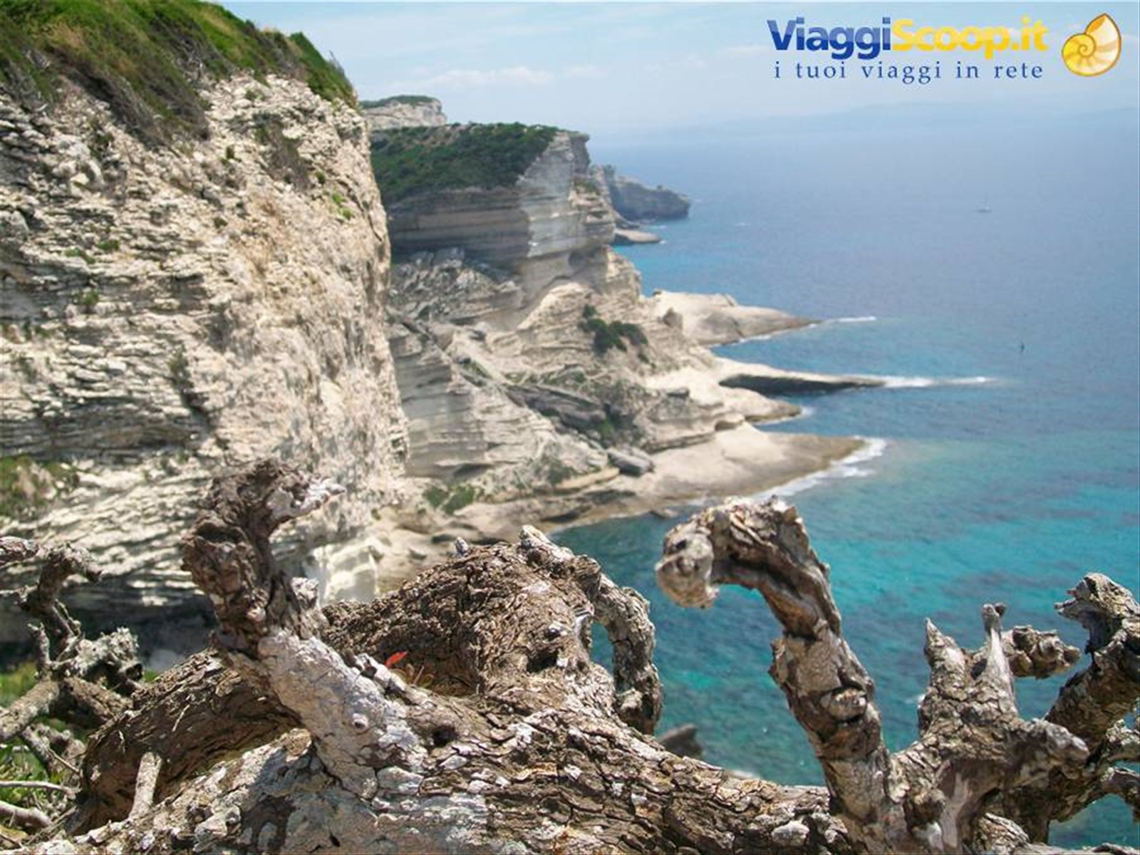 le scogliere di Bonifacio