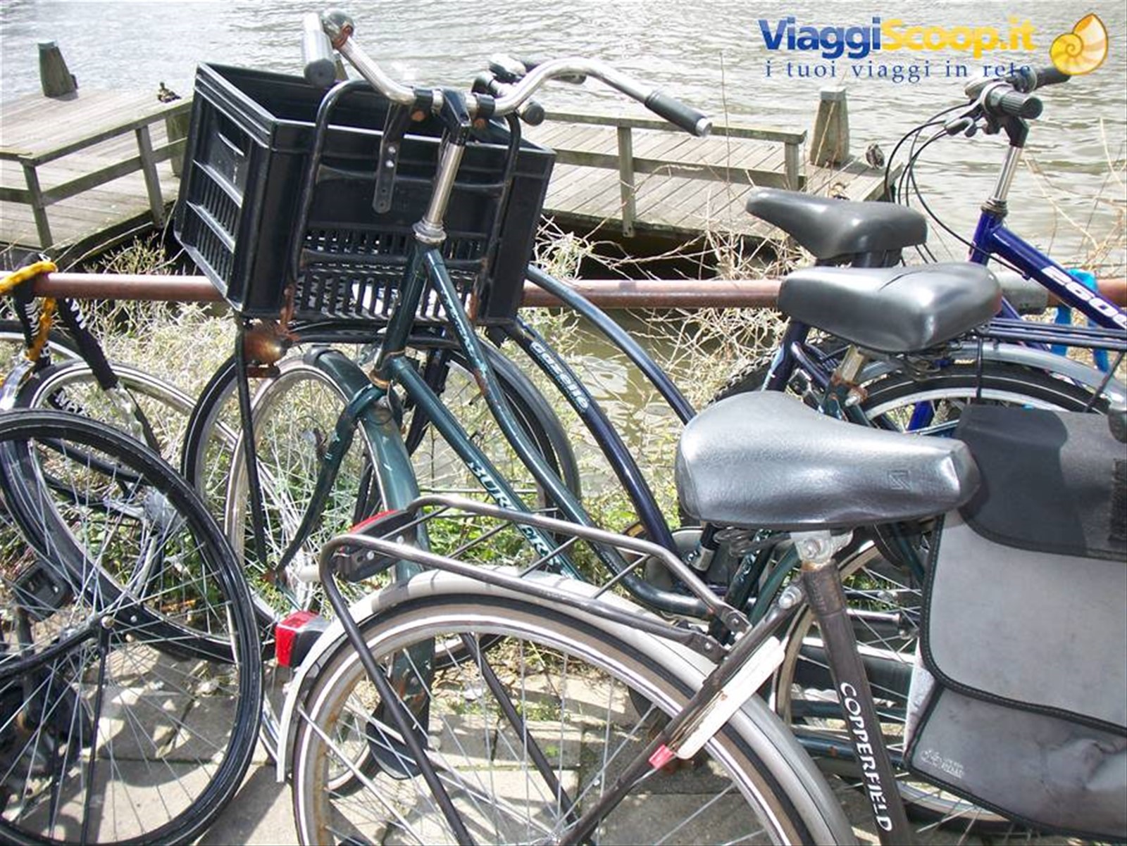 Foto di viaggio in OLANDA