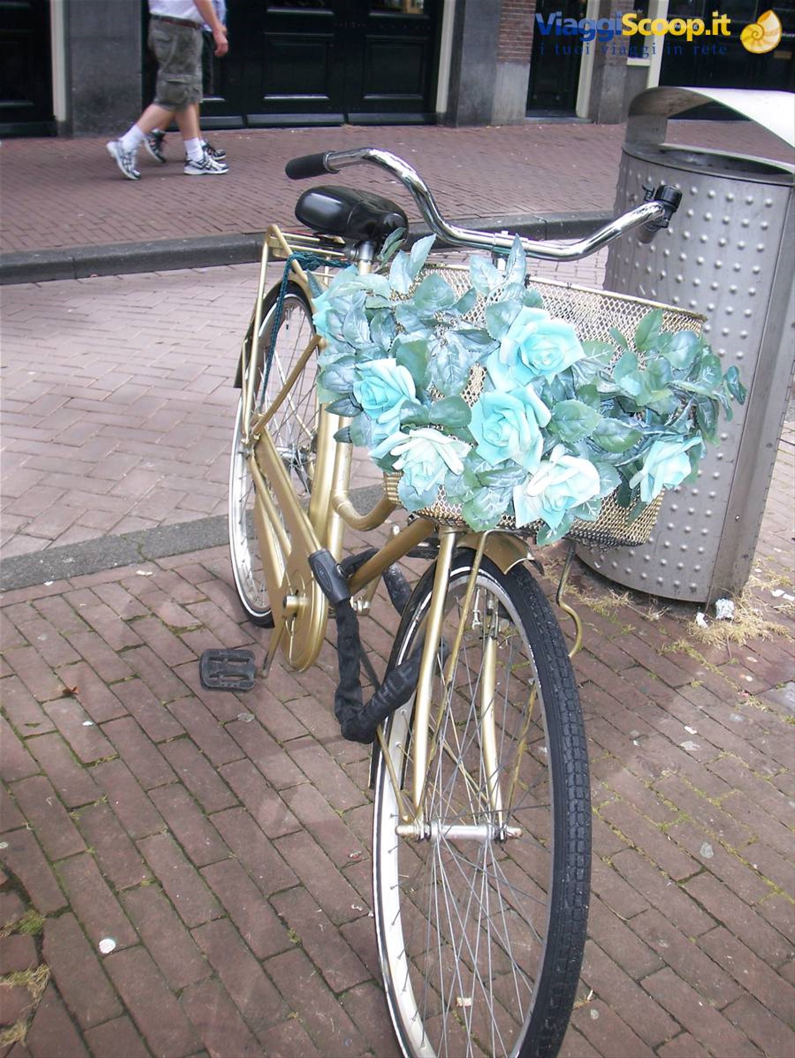 Foto di viaggio in OLANDA
