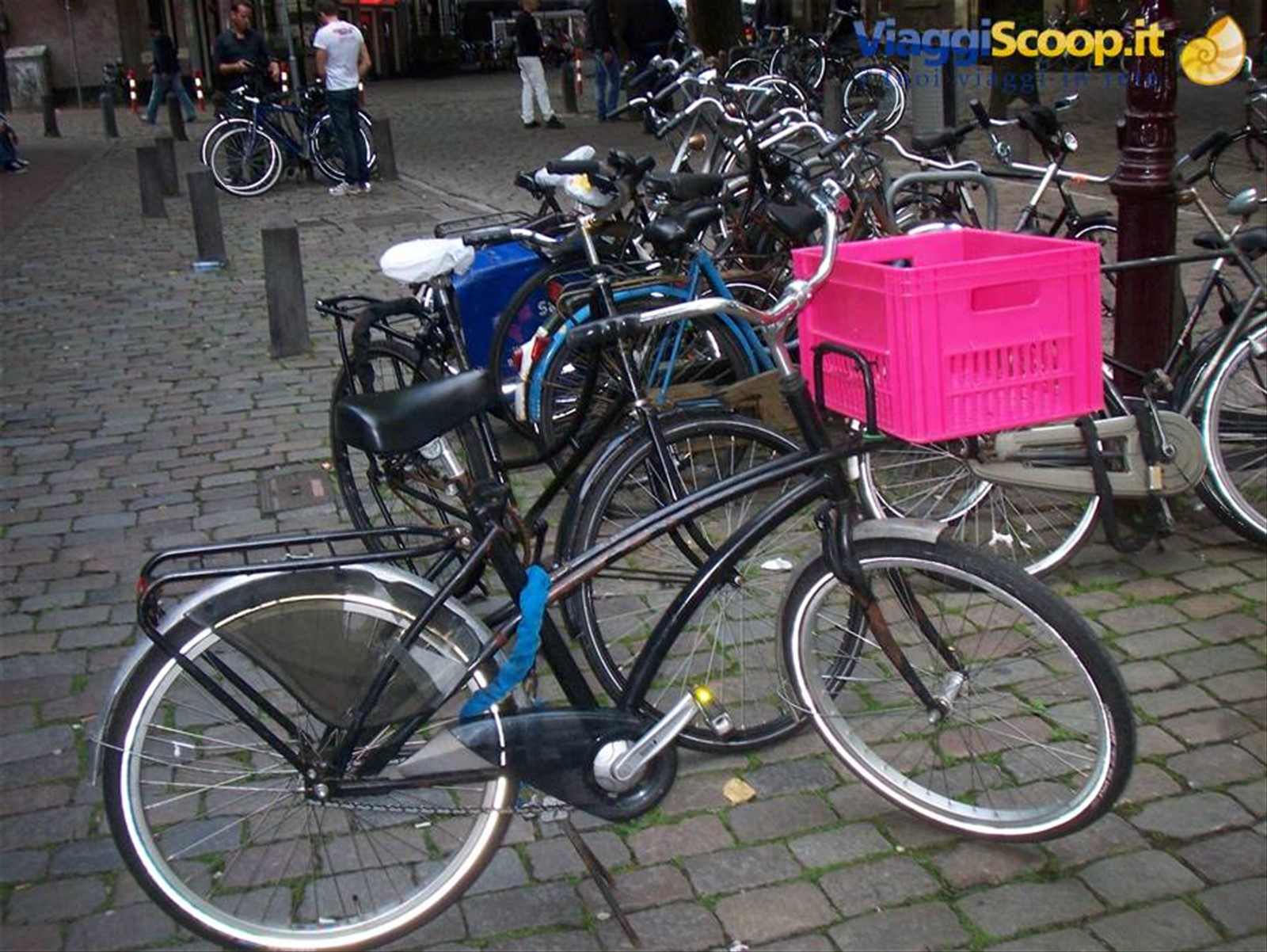 Foto di viaggio in OLANDA