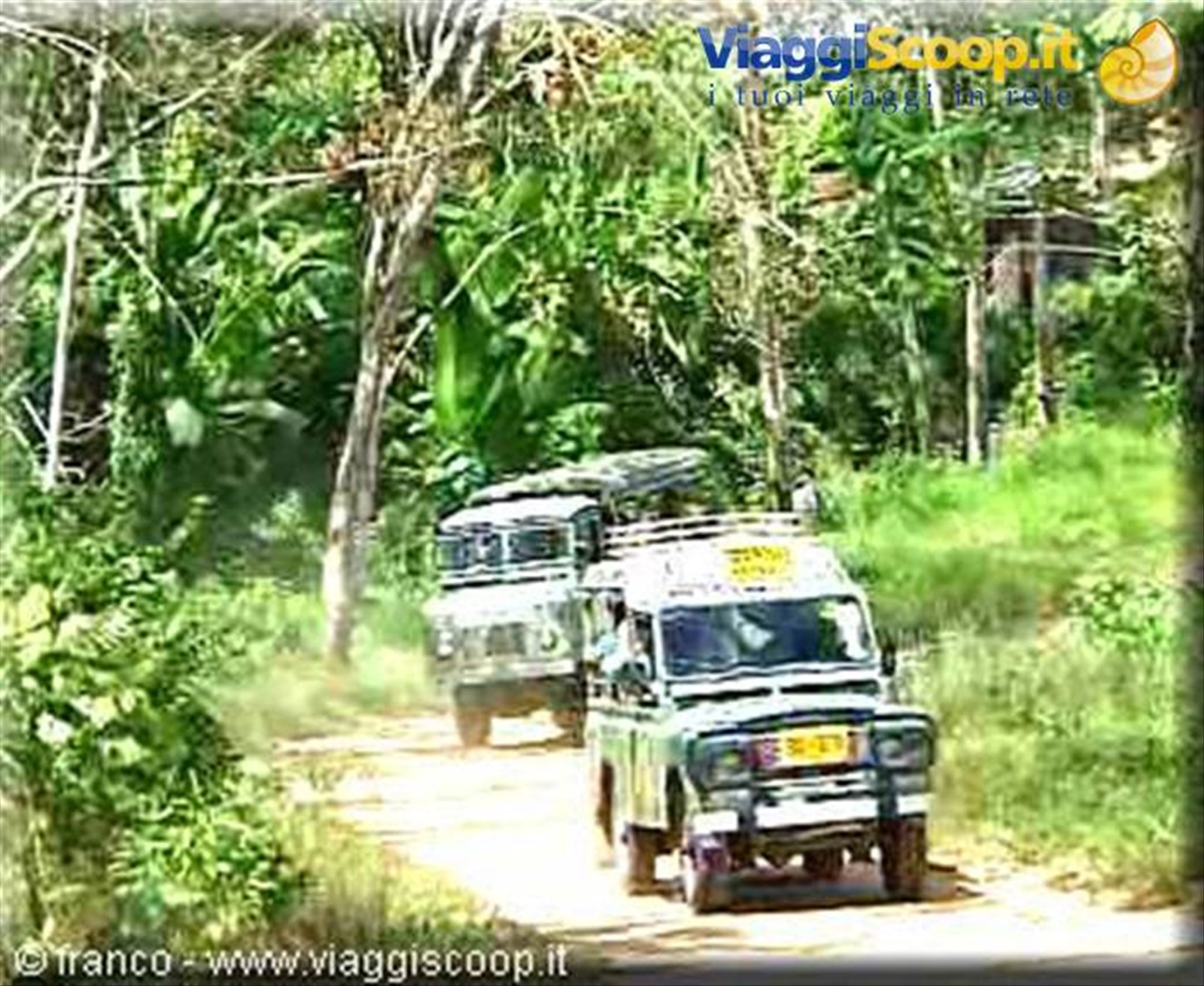 jeep safari