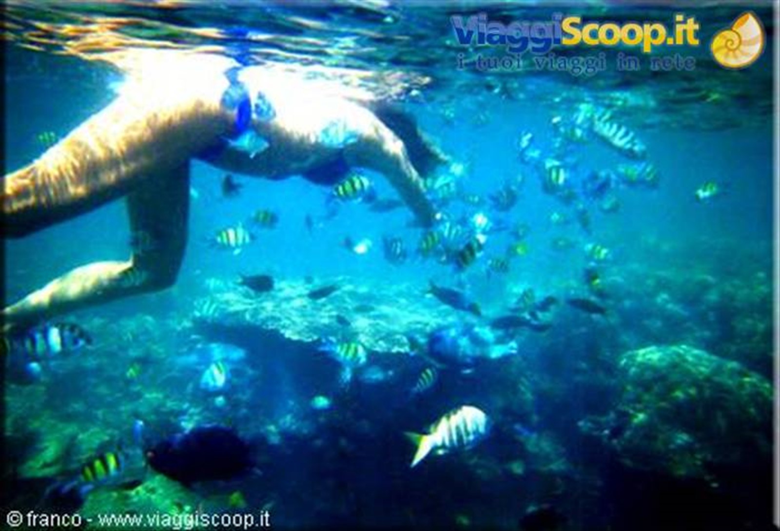 SNORKELING