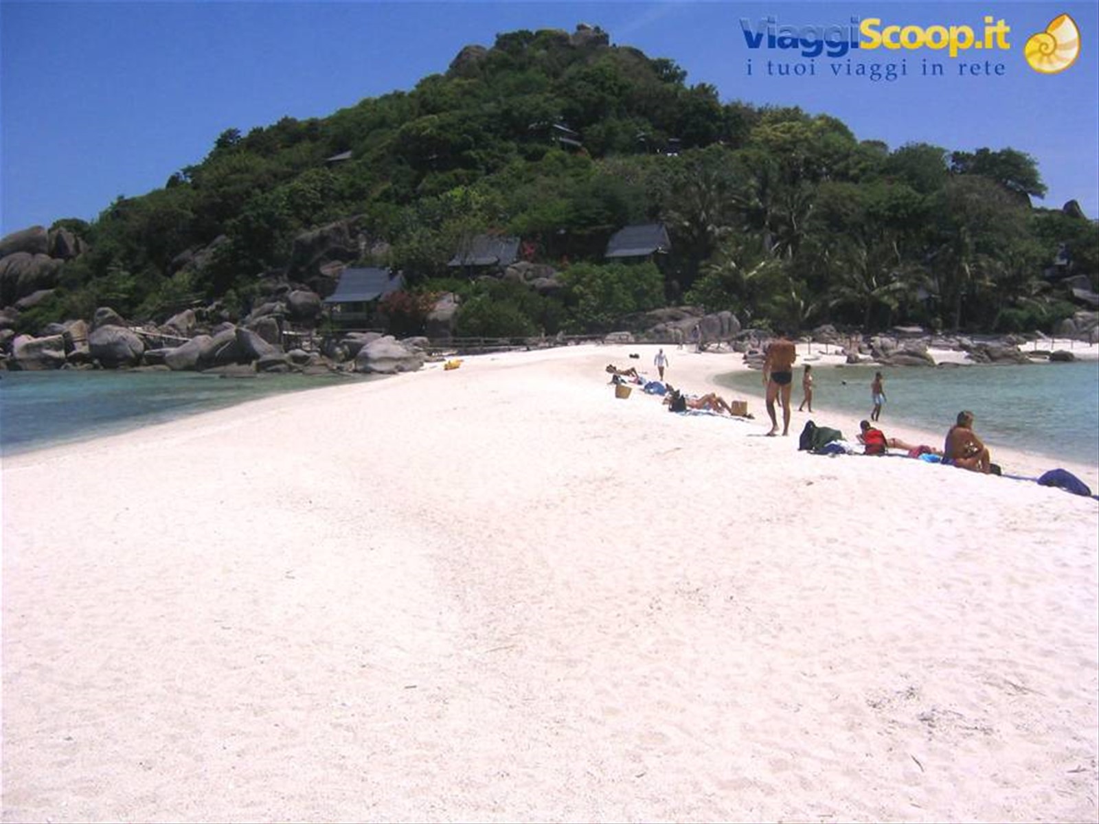 Koh tao