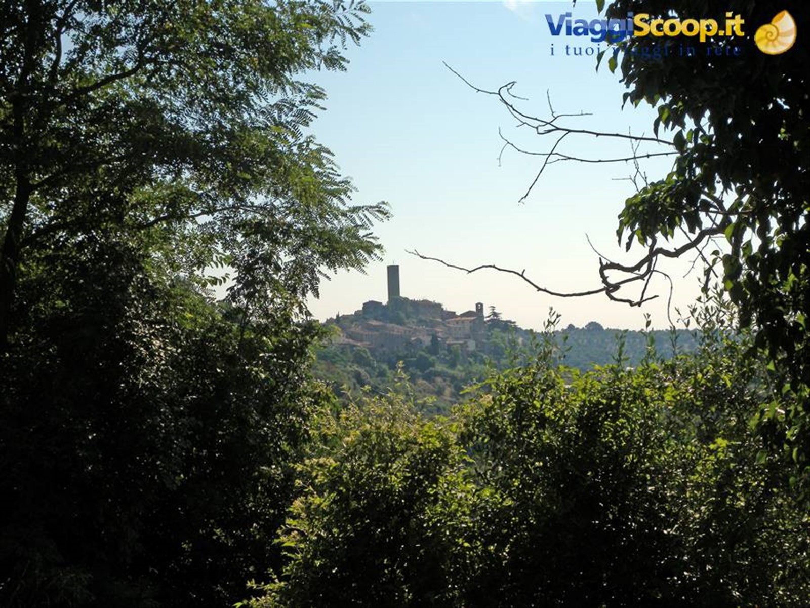 Magliano in Toscana