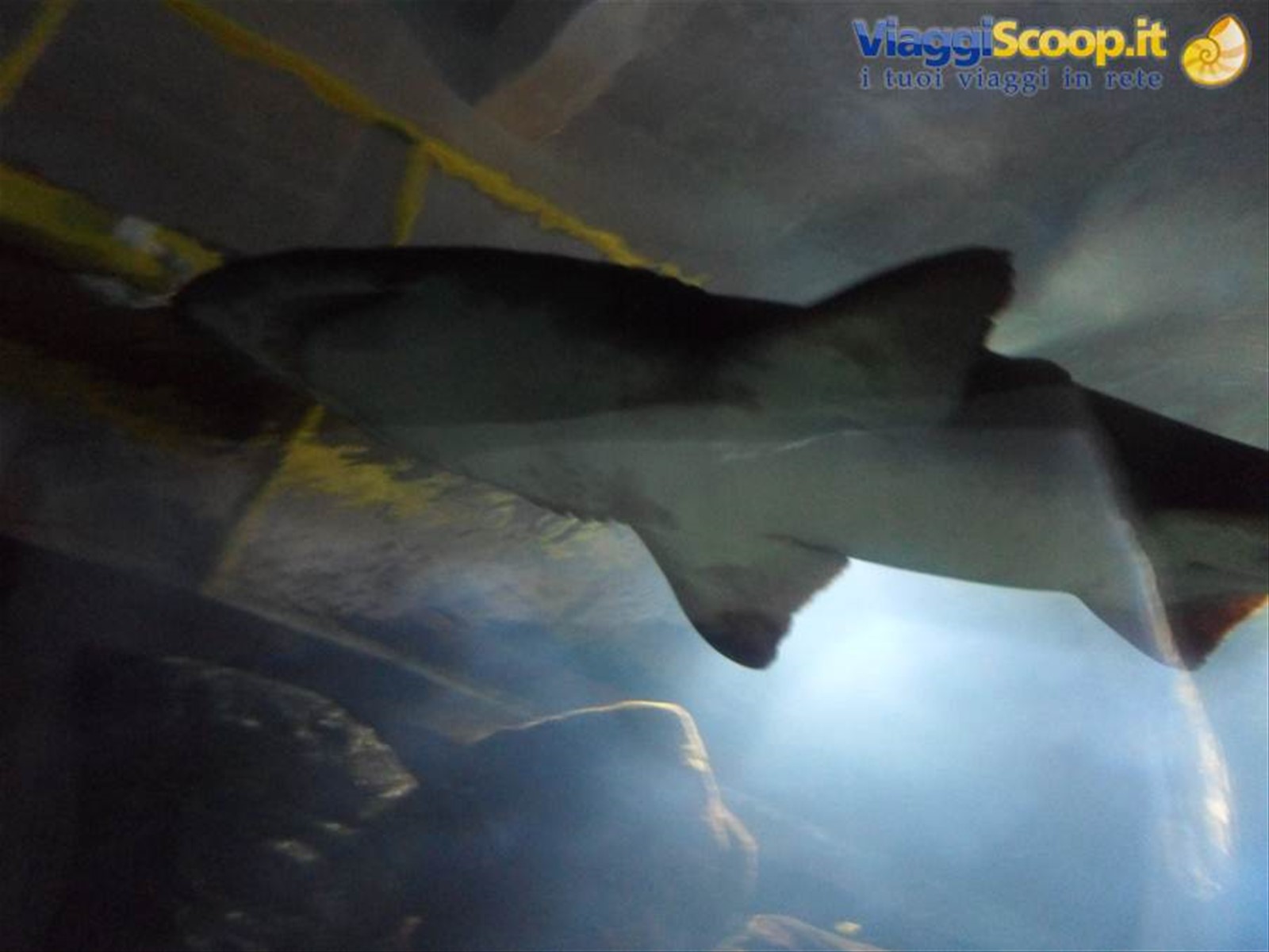 UNIVERSEUM