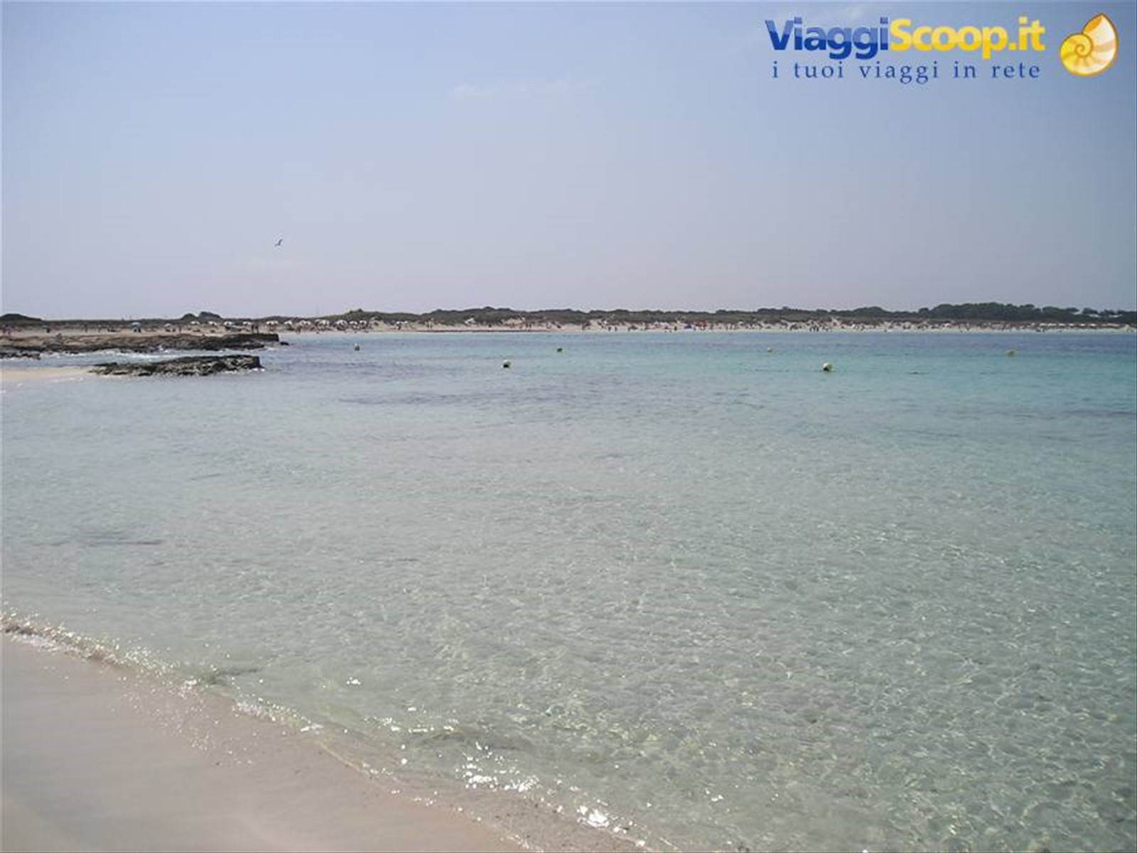 Llevant