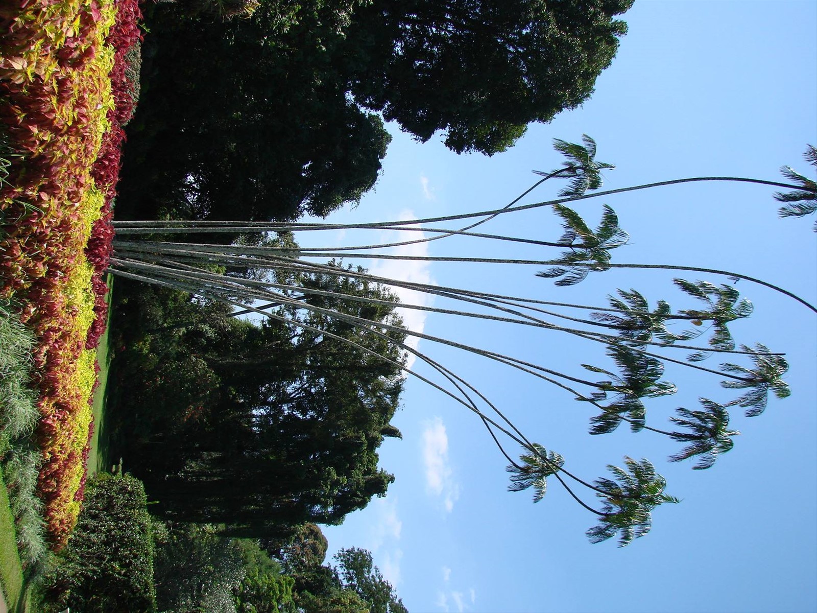 Foto di viaggio in SRI LANKA