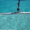 foto viaggio SAINT VINCENT AND THE GRENADINES