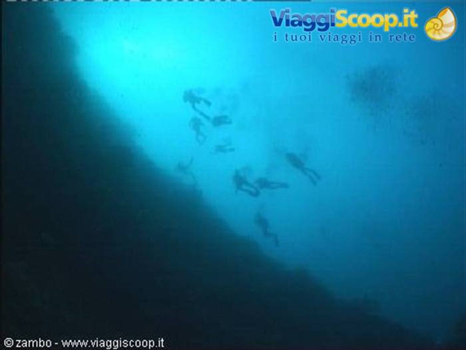 Divers