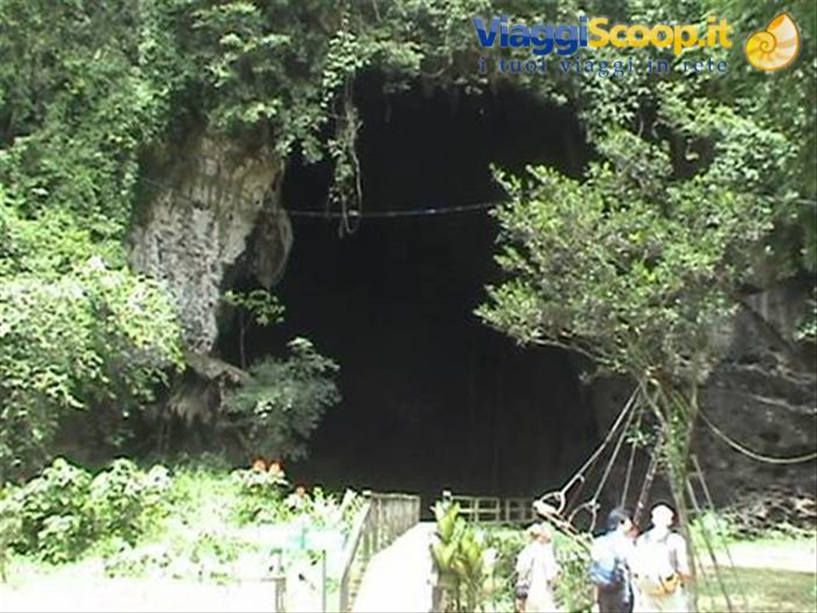 Gomatong Caves