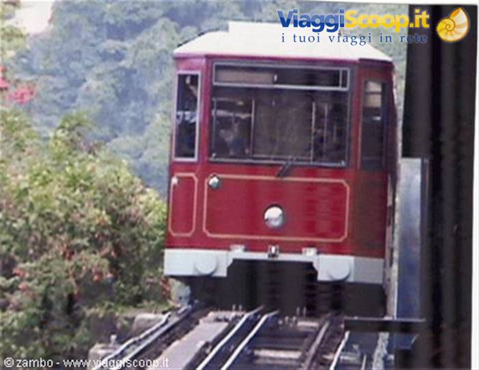 Peak Train