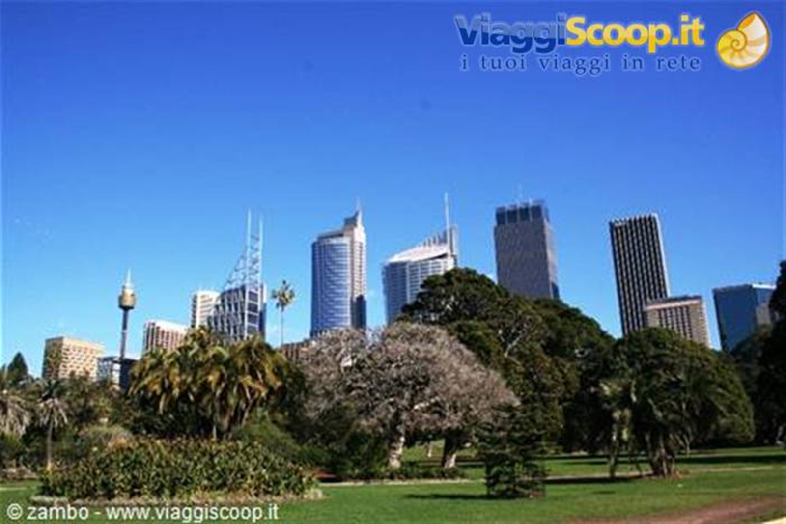 Sydney Skyline
