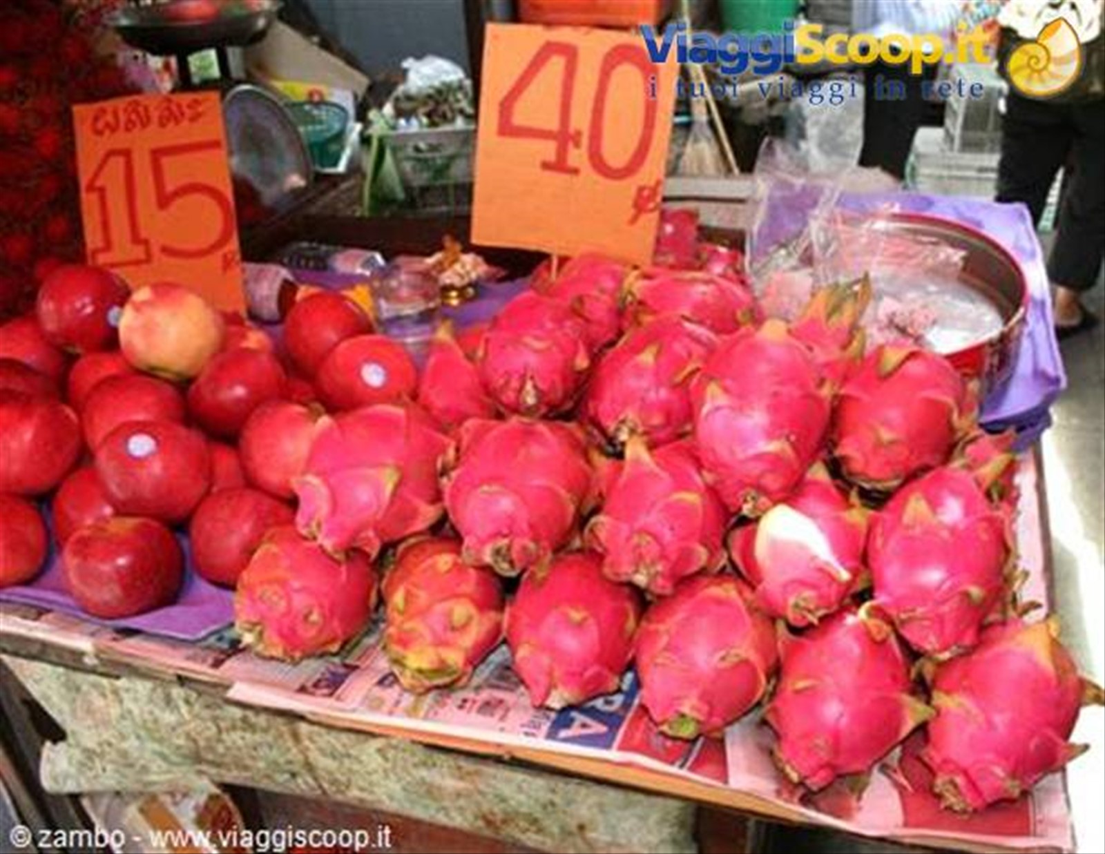 Dragon Fruit